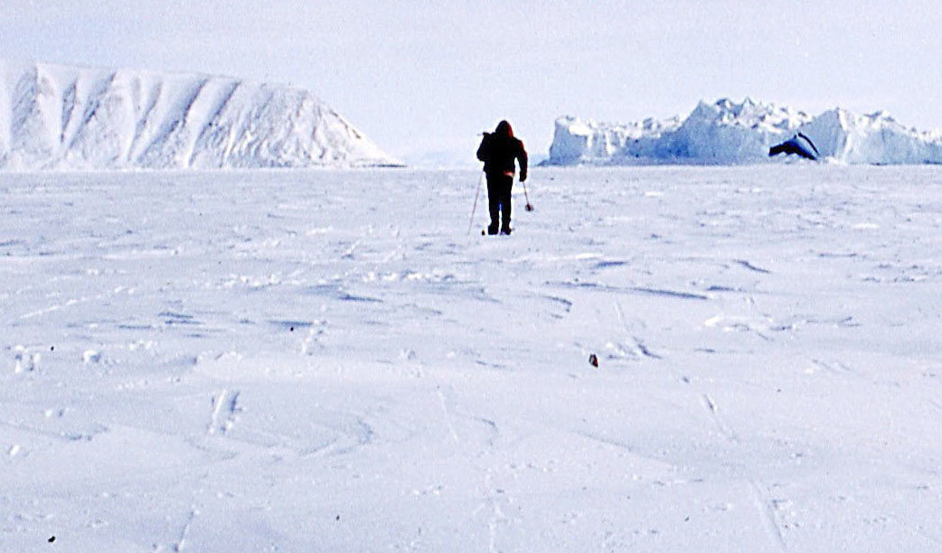 フォト】植村直己さん未公開写真見つかる 北極圏で犬ぞり訓練 - 産経