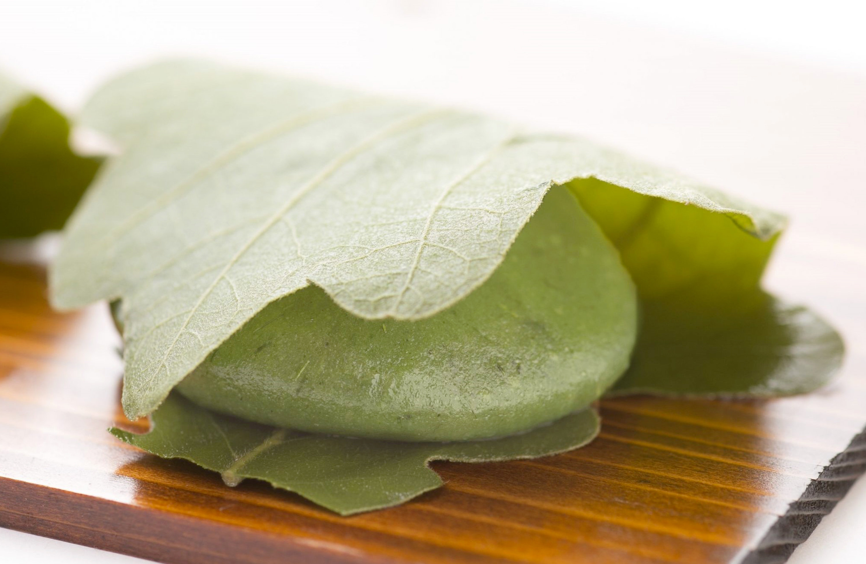 苔むす鎌倉の古刹に初夏の趣 静寂にたたずむ石段や石垣、灯篭まで暗