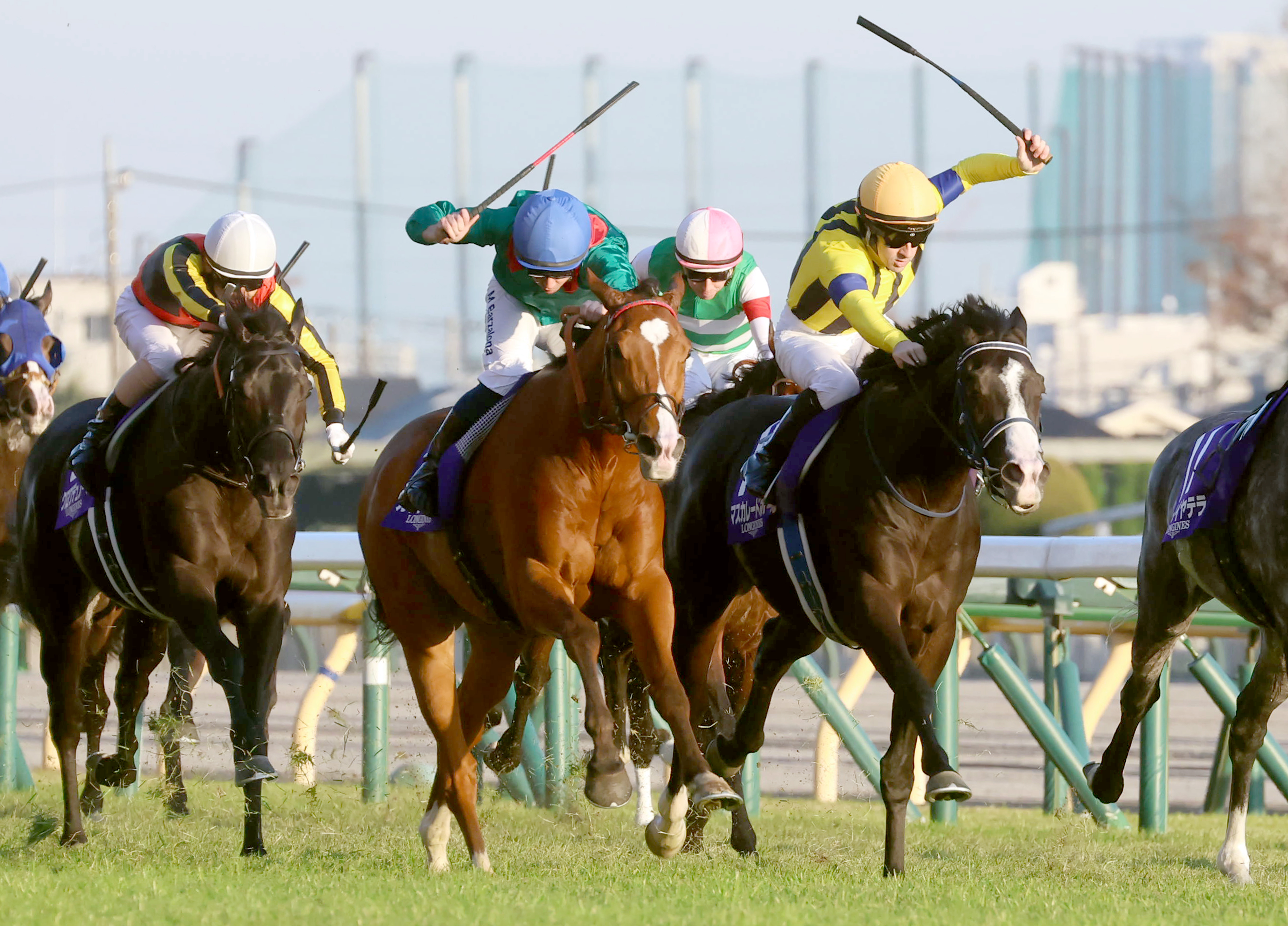 ジャパンC 柴田政人の目】カランダガン、歴史的激闘を制す