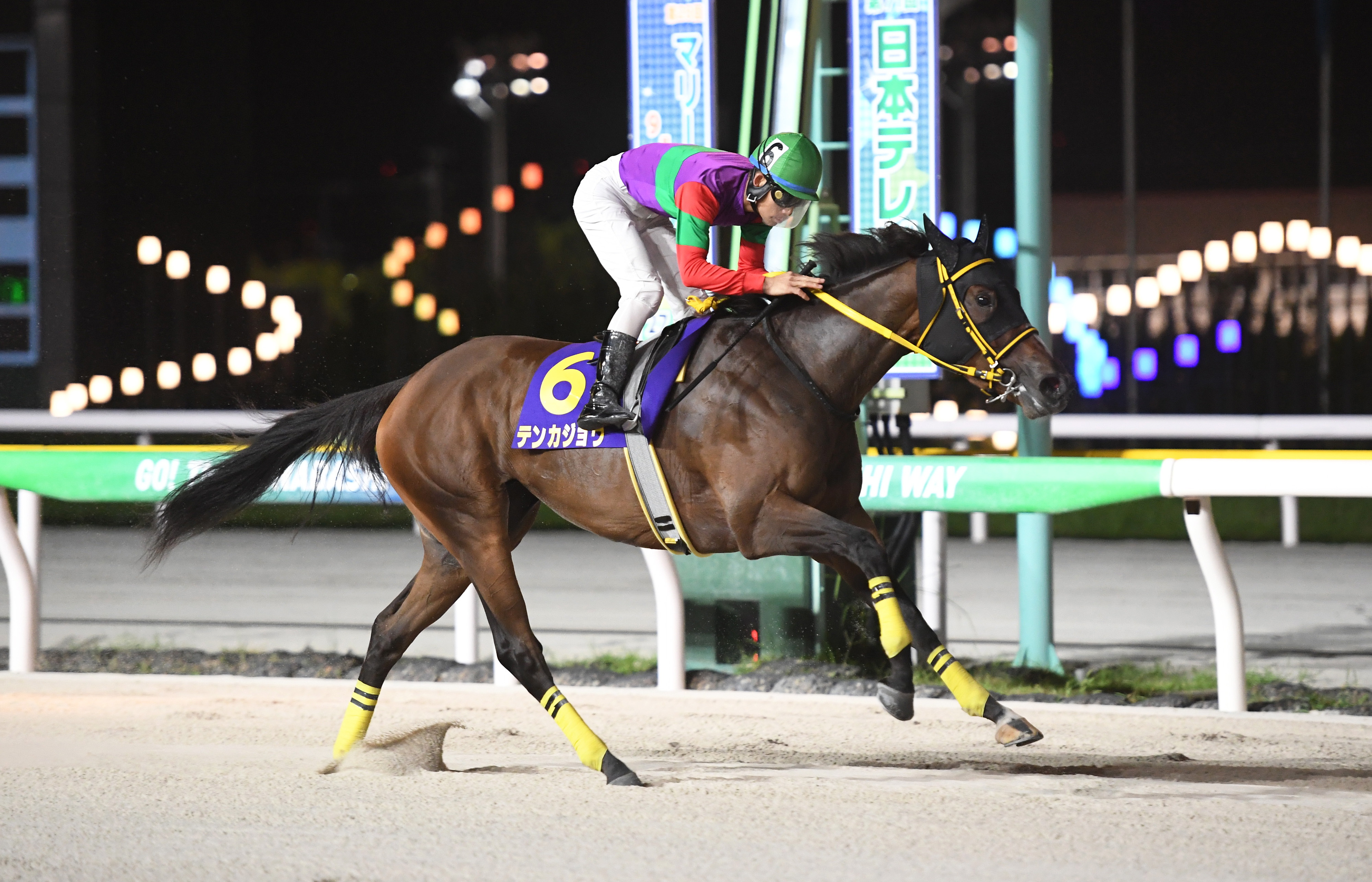 マリーンC】レース解説 - サンスポZBAT!