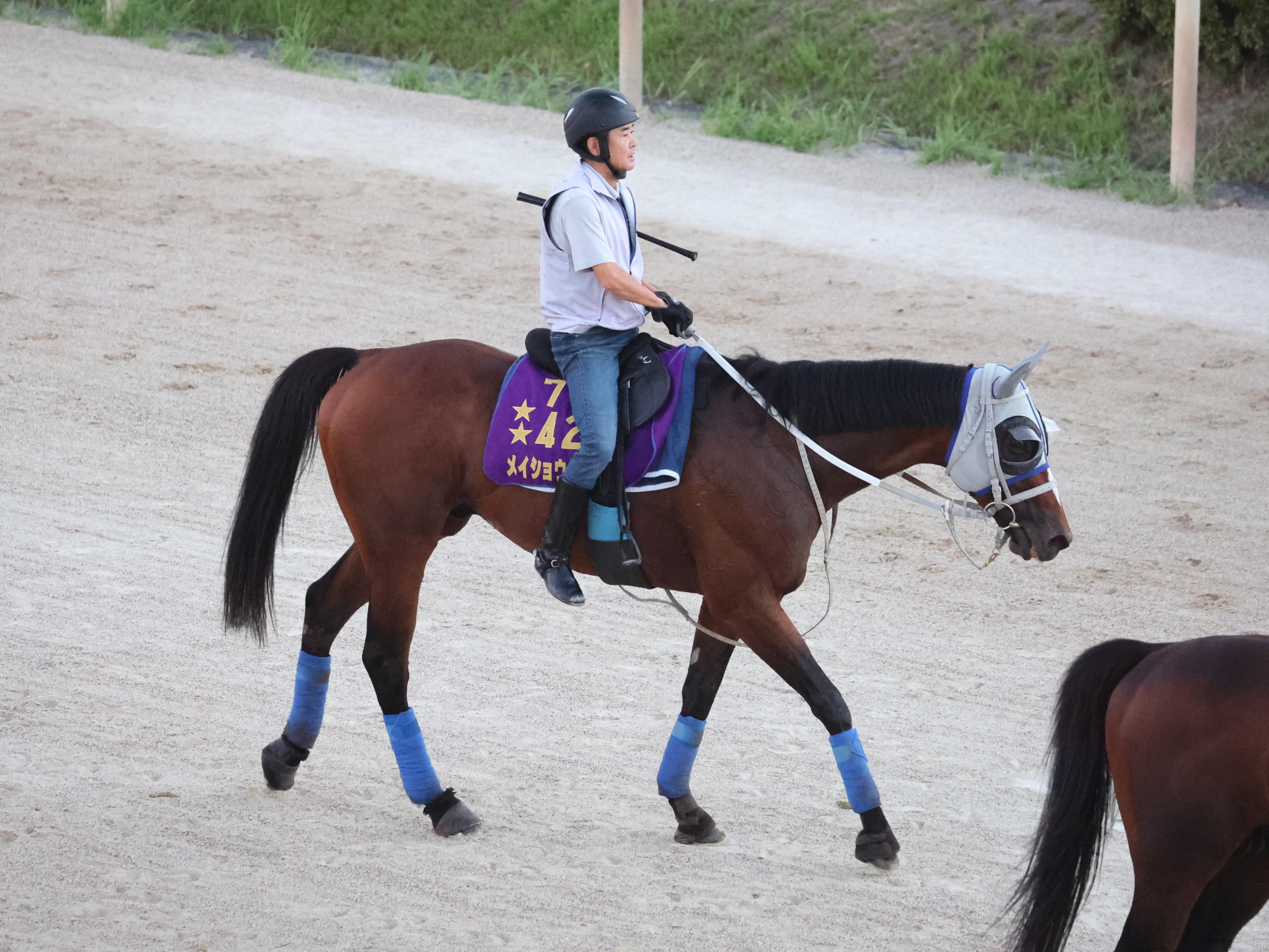 凱旋門賞】メイショウタバルがCWコースでラスト11秒2 石橋師「時計も