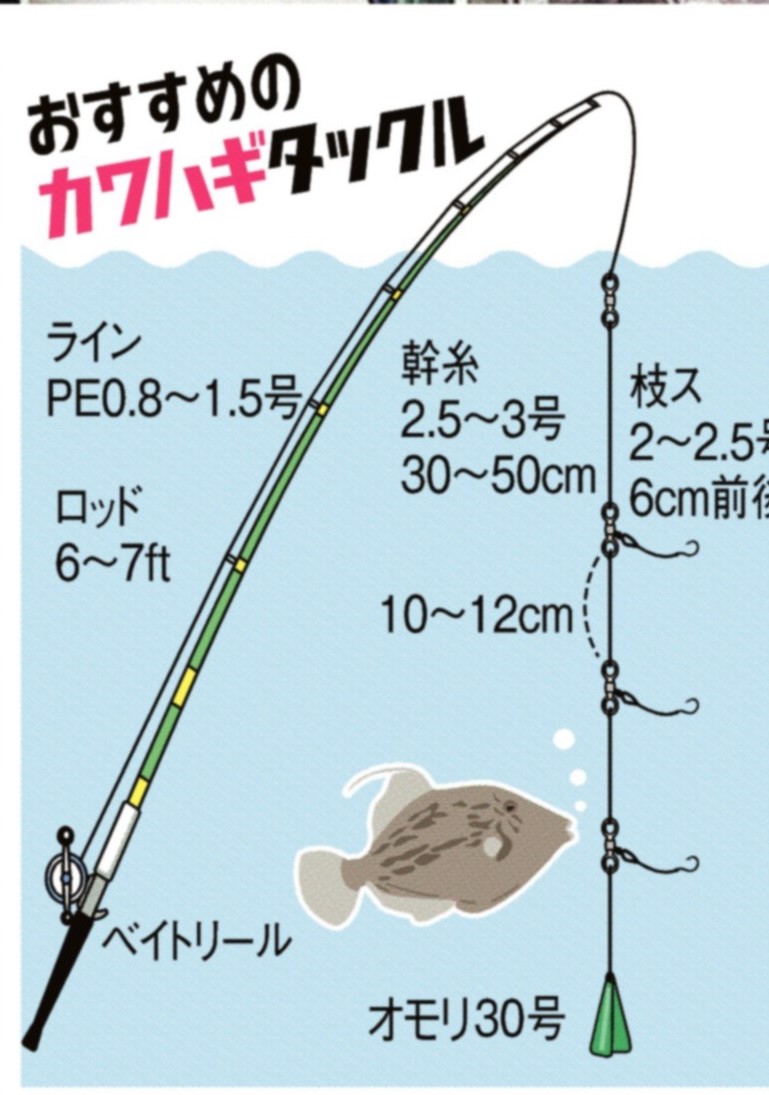 ベリーカワイイ カワハギゲット 三邦丸 関西フィッシング サンスポ