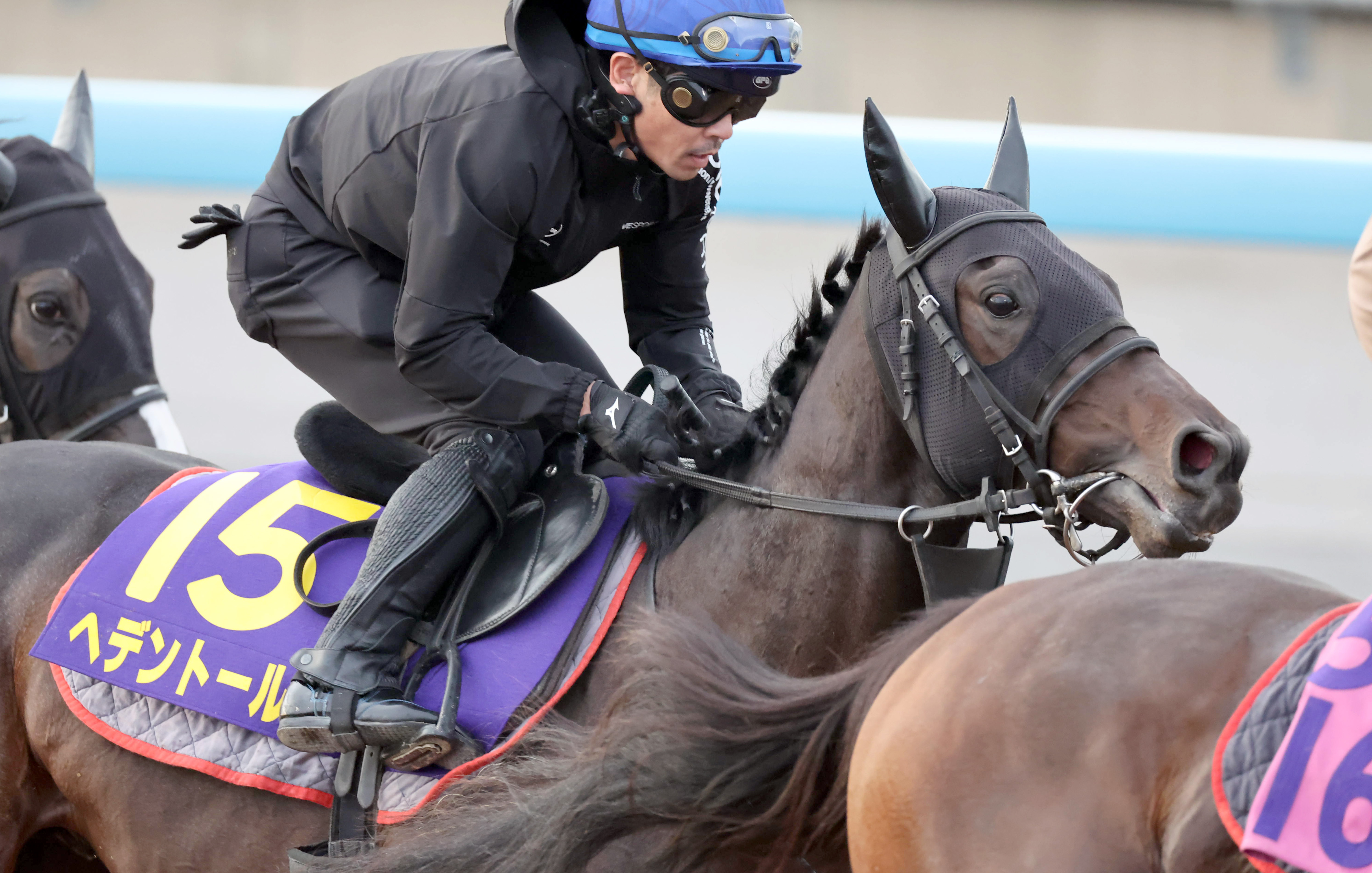 リレーコラム】関東競馬エイト～コラム＆本紙予想に全力を注入！by翔太郎 - サンスポZBAT!