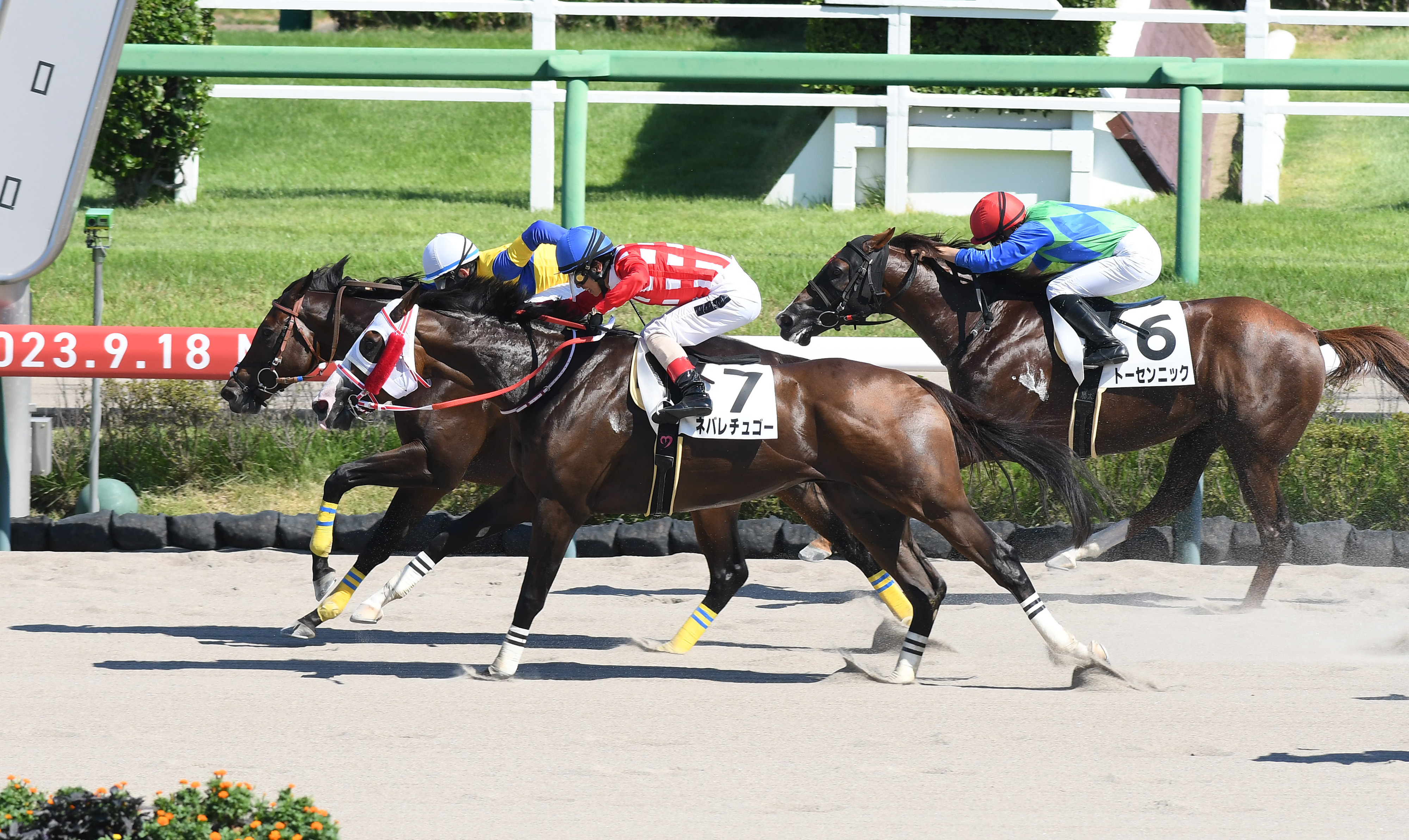 ルーキー小林勝太騎手が中山７ＲでＪＲＡ１０勝目「自厩舎での初 ...