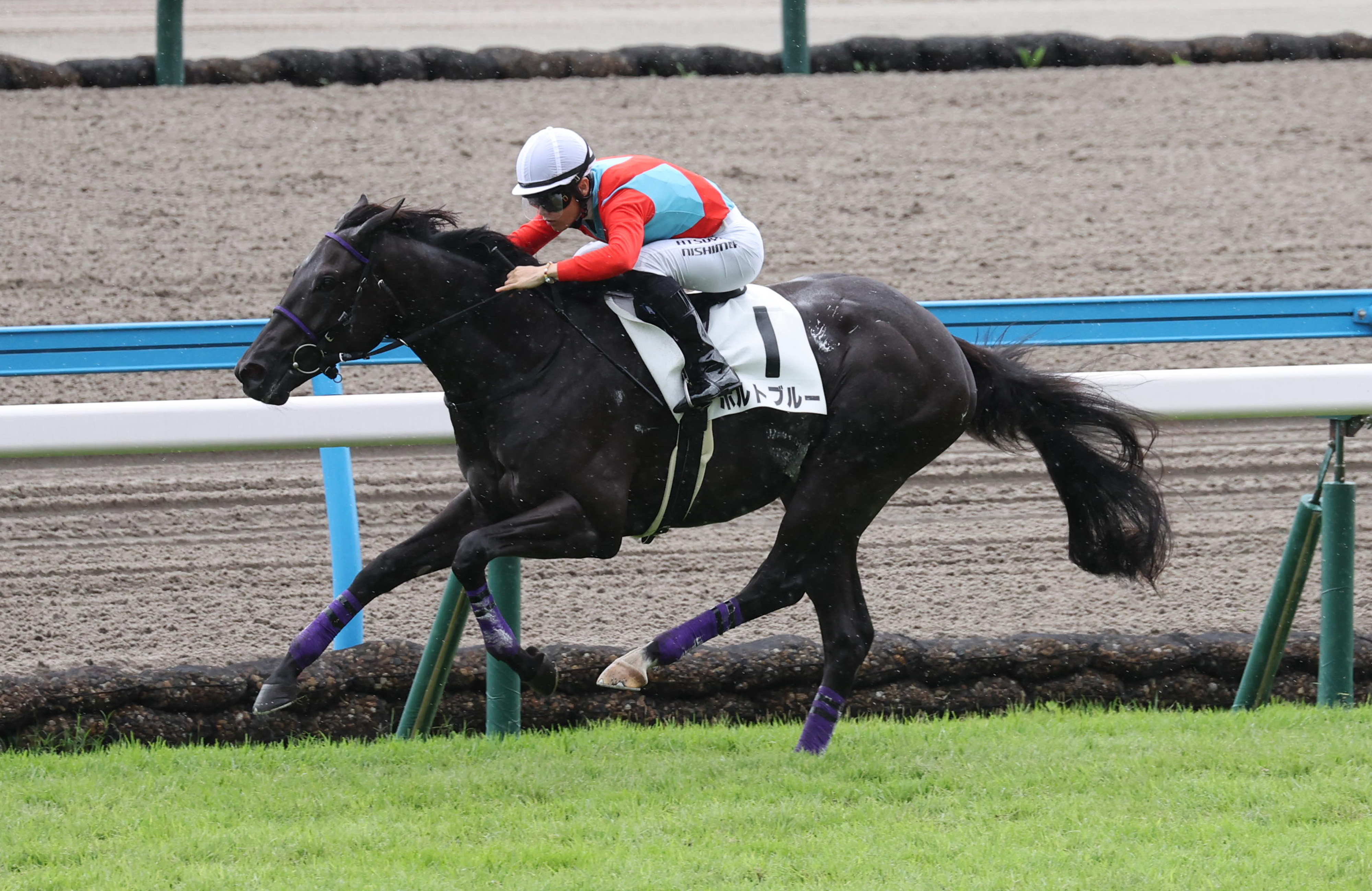 POG調査隊】新馬戦を3馬身半差で快勝のポルトブルー 今年の大目標は