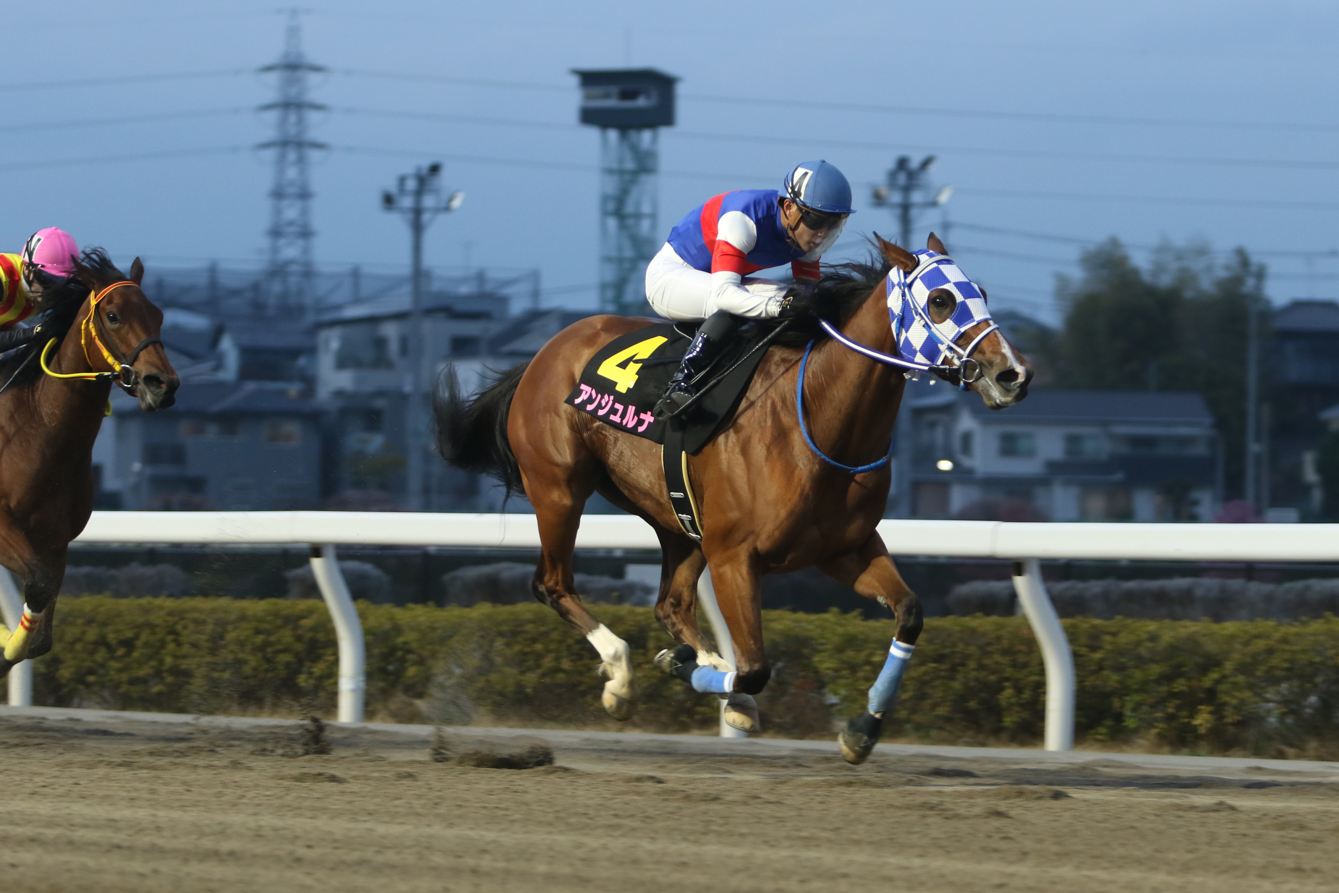 サンスポ賞・桜花賞】アンジュルナ重賞4連勝で桜の女王に輝く