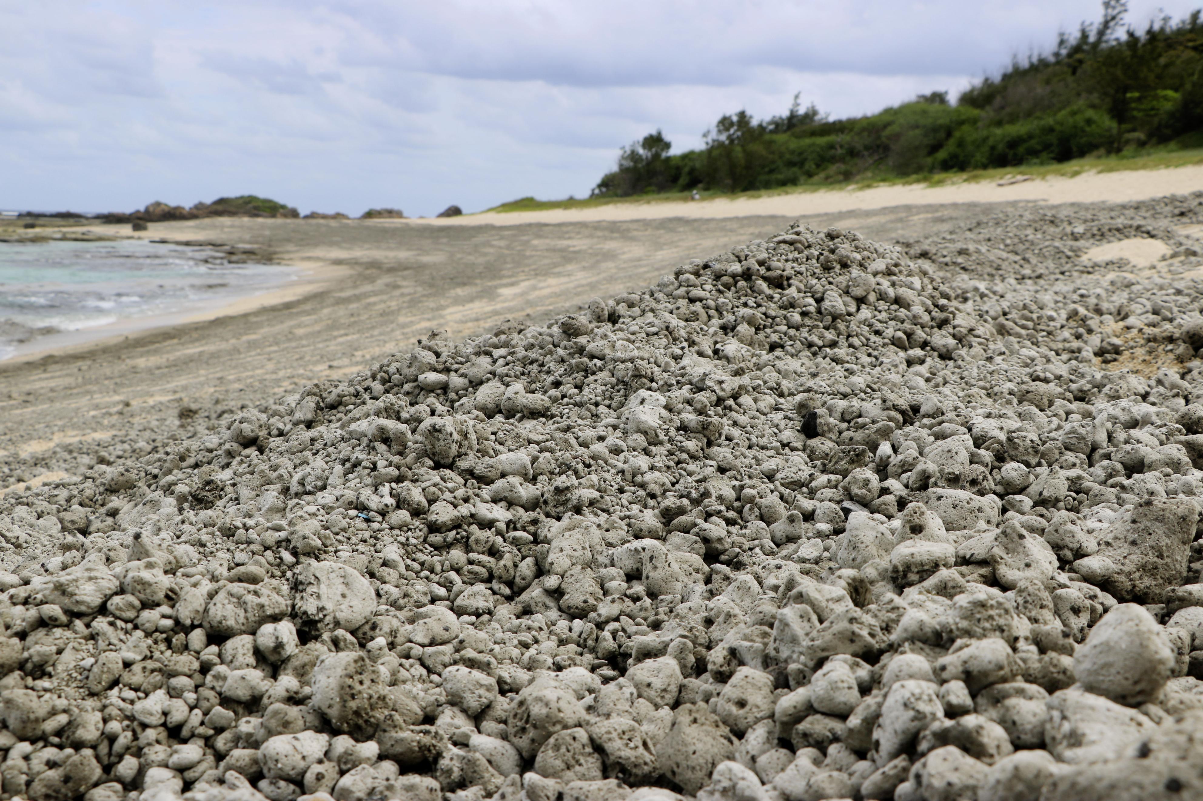 漂流１０００キロ超、大量の軽石 奄美群島 - 産経ニュース