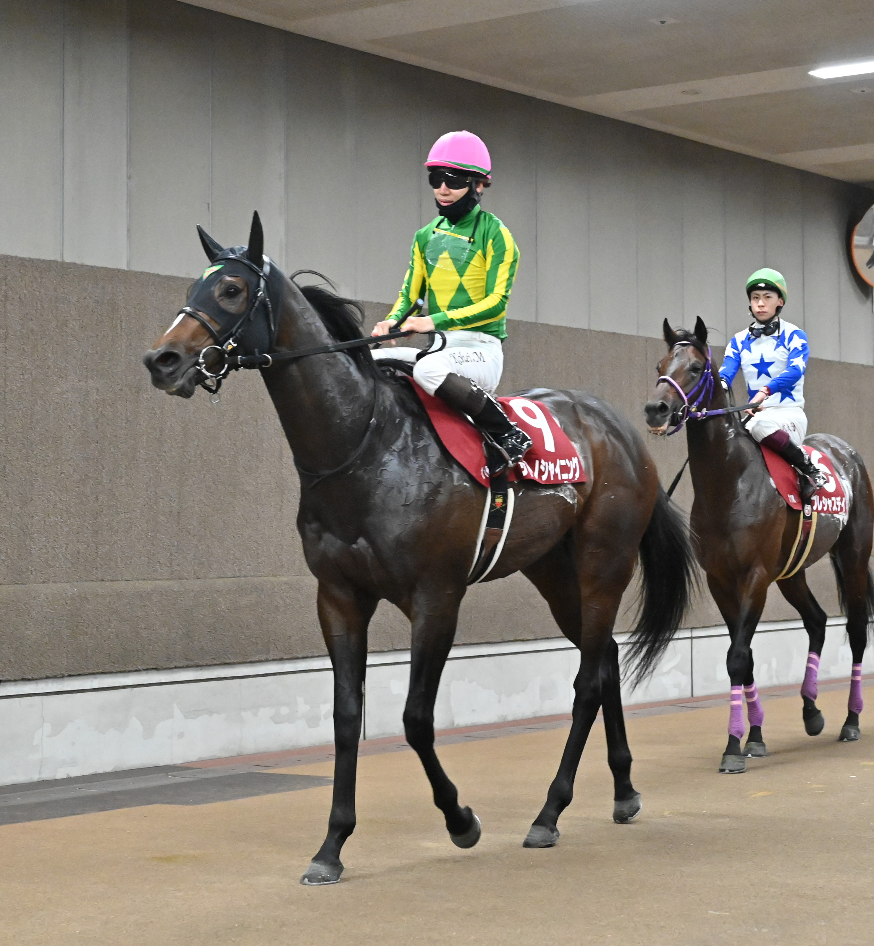 2歳次走報】東スポ杯2歳S2着サトノシャイニングは共同通信杯へ
