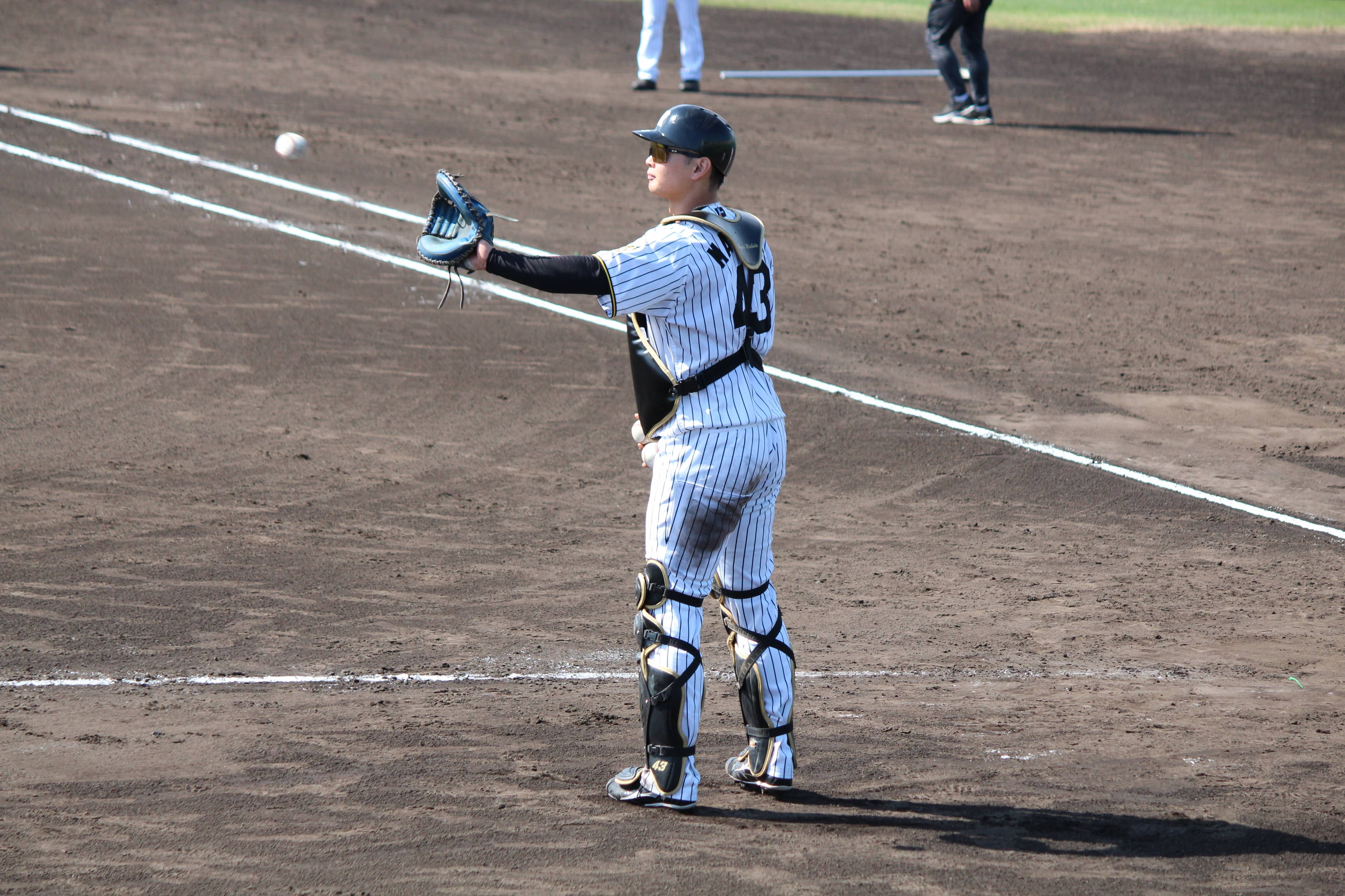 阪神・町田隼乙、シート打撃で快音 手術＆リハビリを経て「復帰に