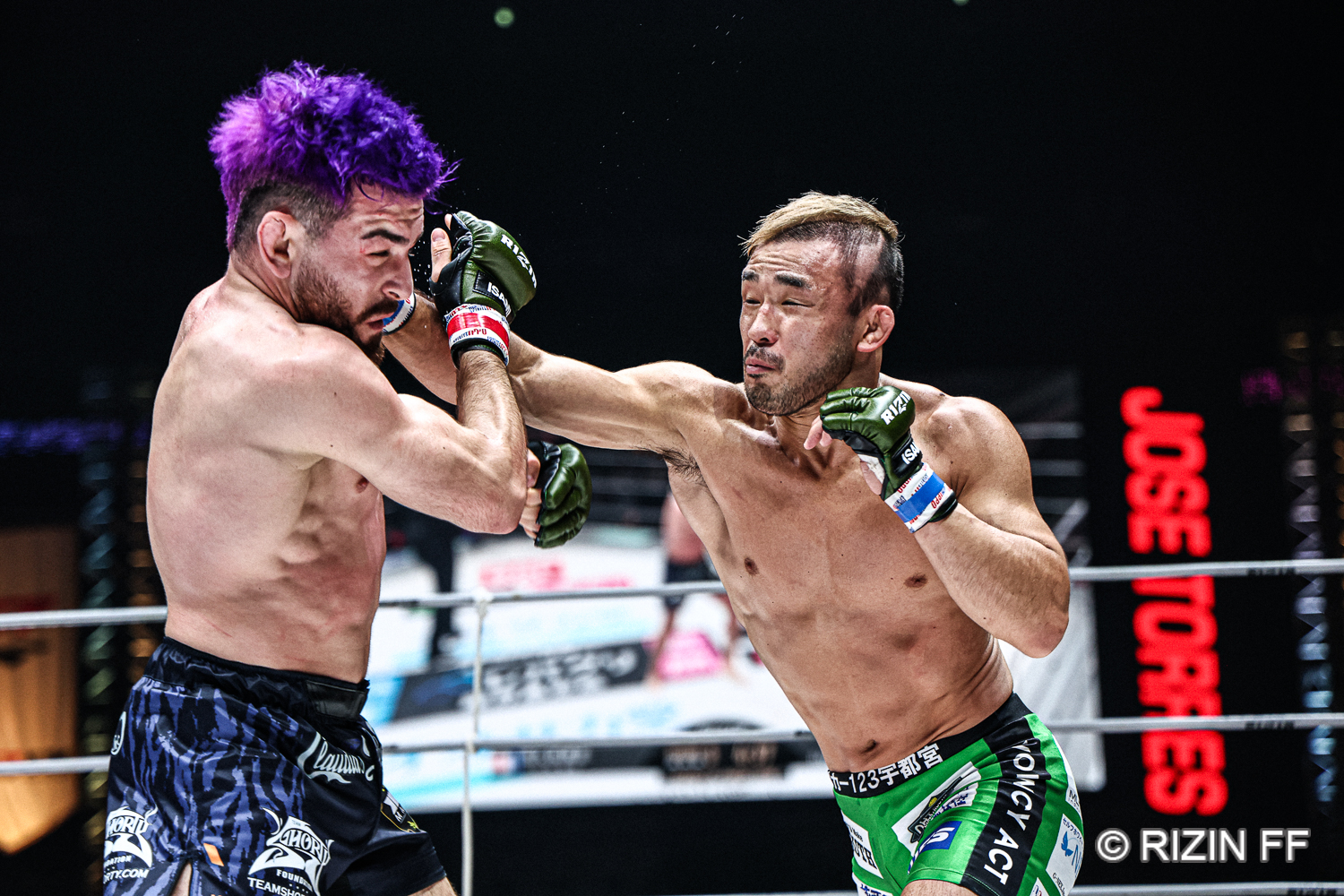 新日本プロレス レーザーディスク Bibian 比比昂- 新・エンジェルLD ②～⑤ 4巻セットレーザー
