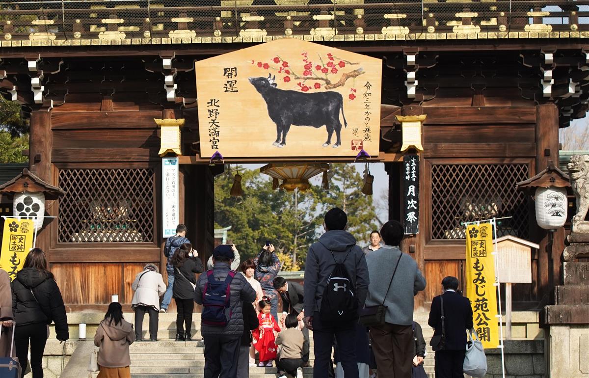 道真公の使いの「丑」年 北野天満宮に巨大絵馬 - 産経ニュース