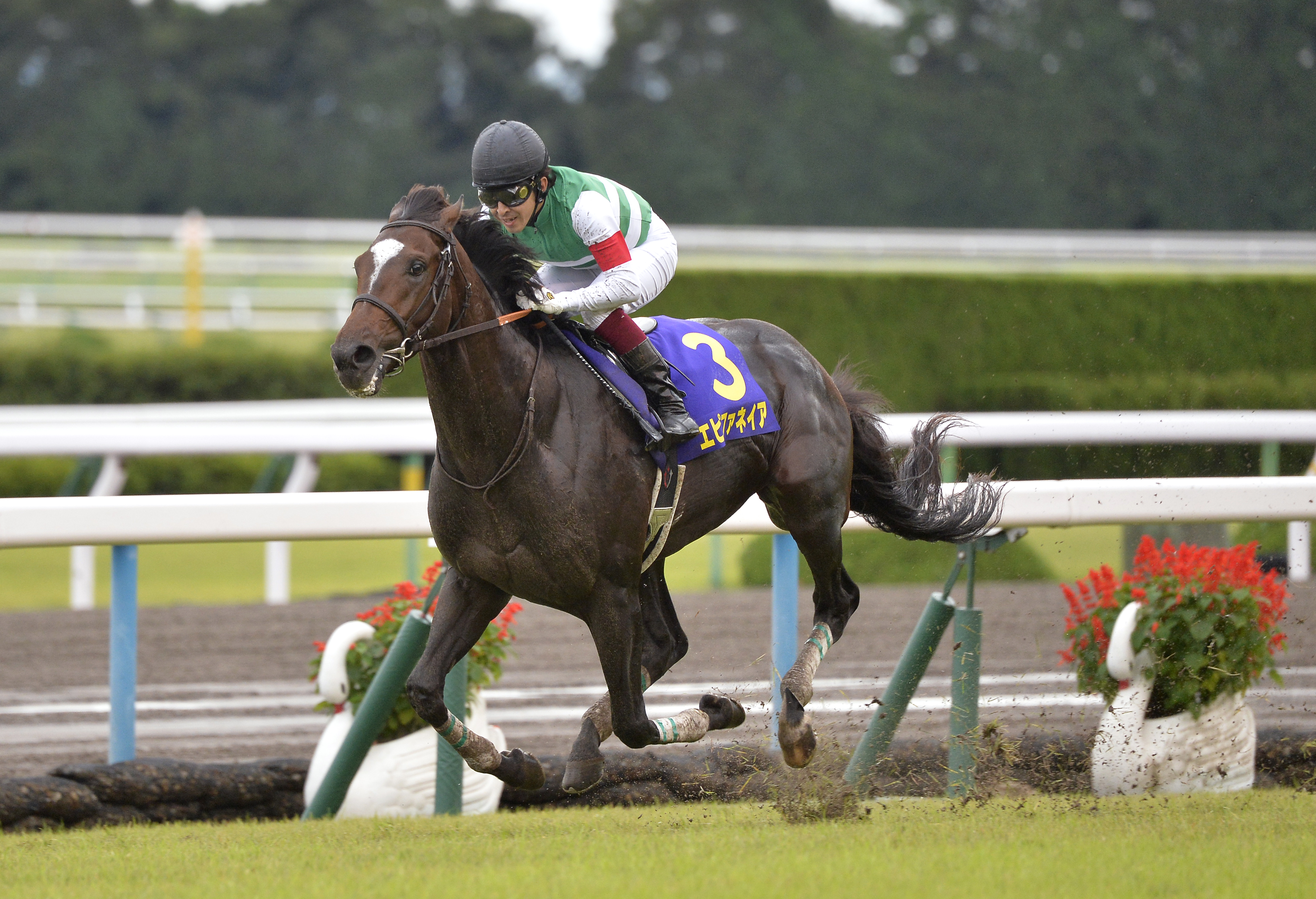 エピファネイアで菊花賞制覇／2013年 【福永祐一騎手 ファンが選ぶ