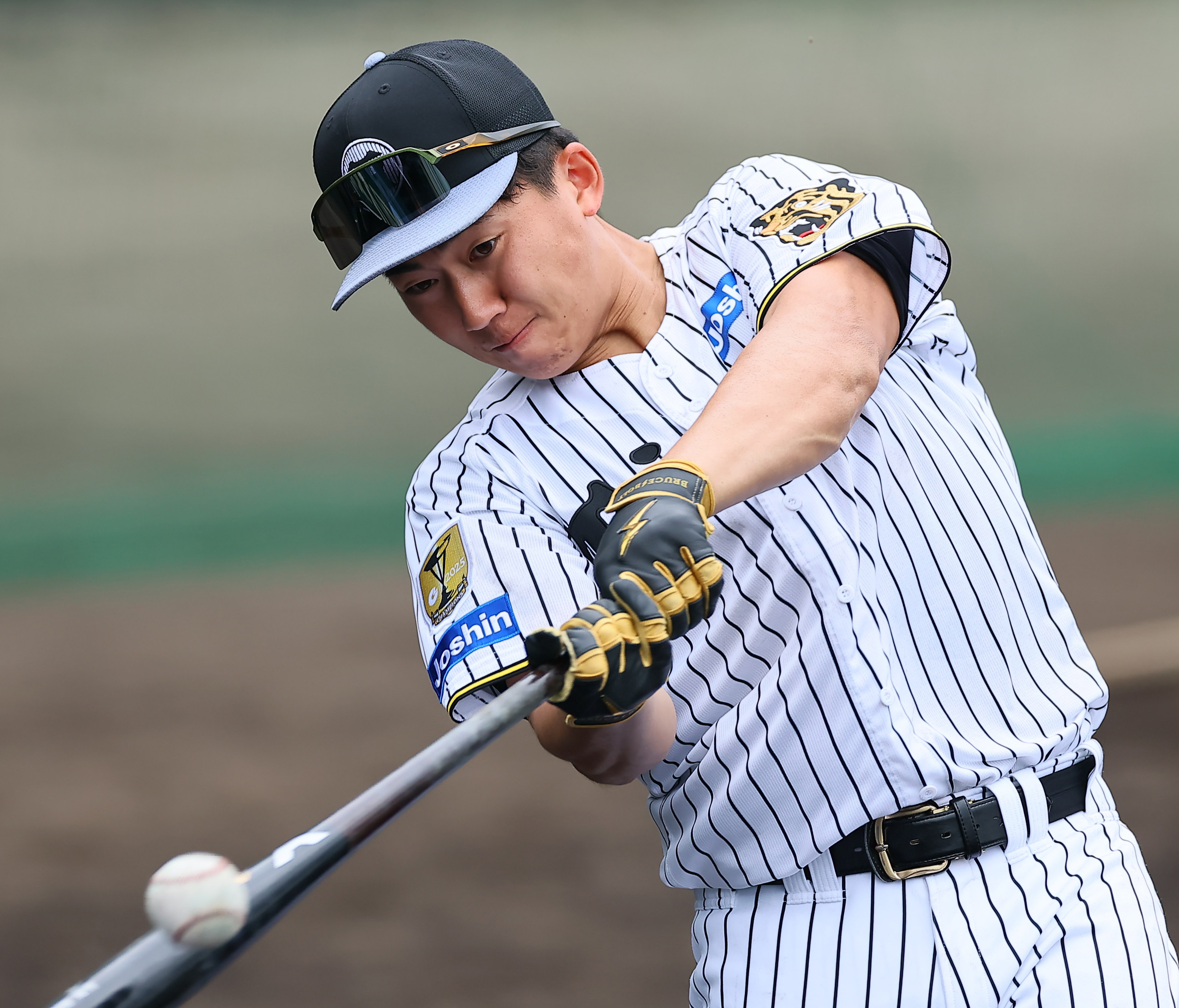 阪神タイガース 立石正広 直筆サインボール 2026沖縄キャンプ限定球
