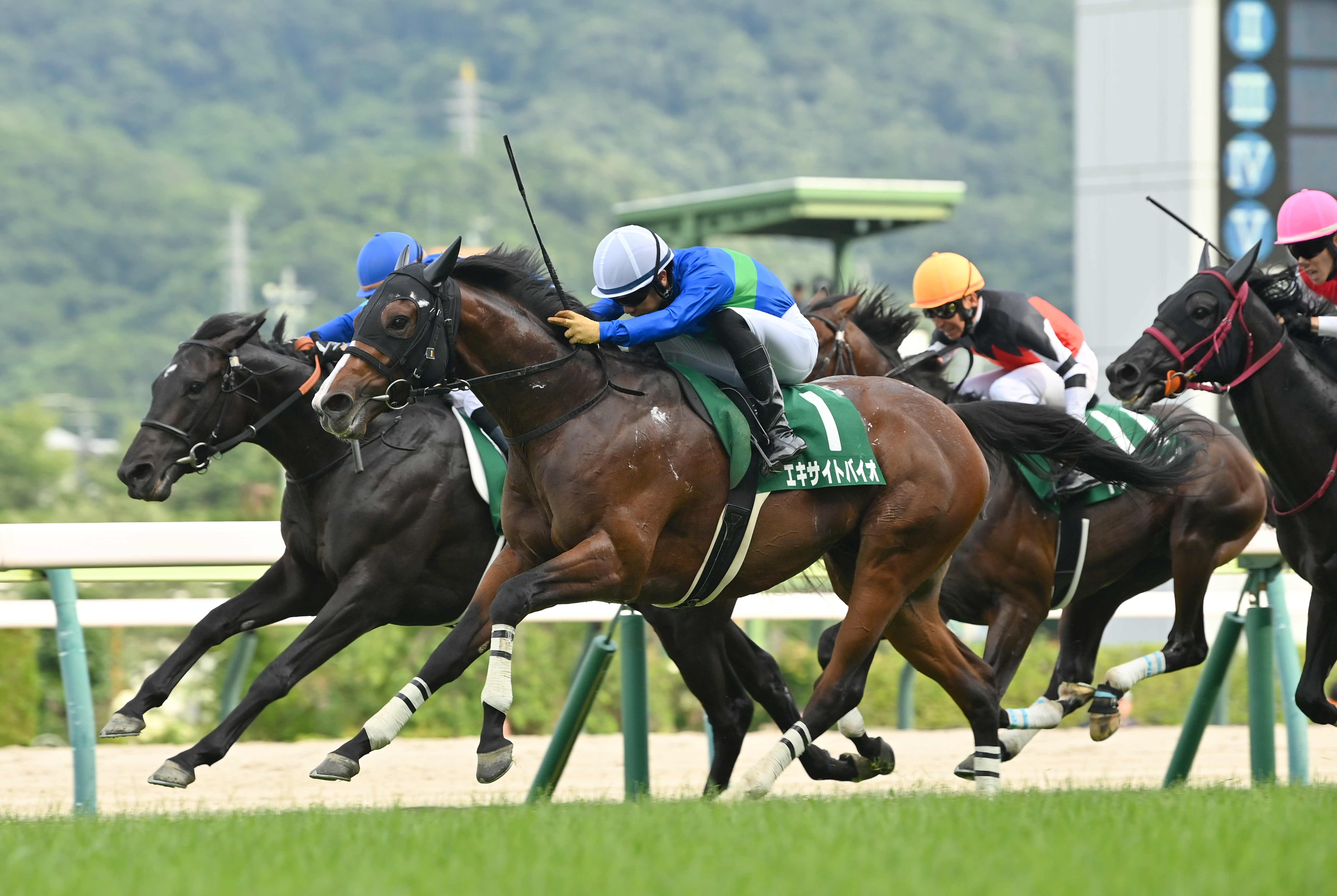 ラジオNIKKEI賞】エキサイトバイオ、馬群割り重賞初制覇 荻野極