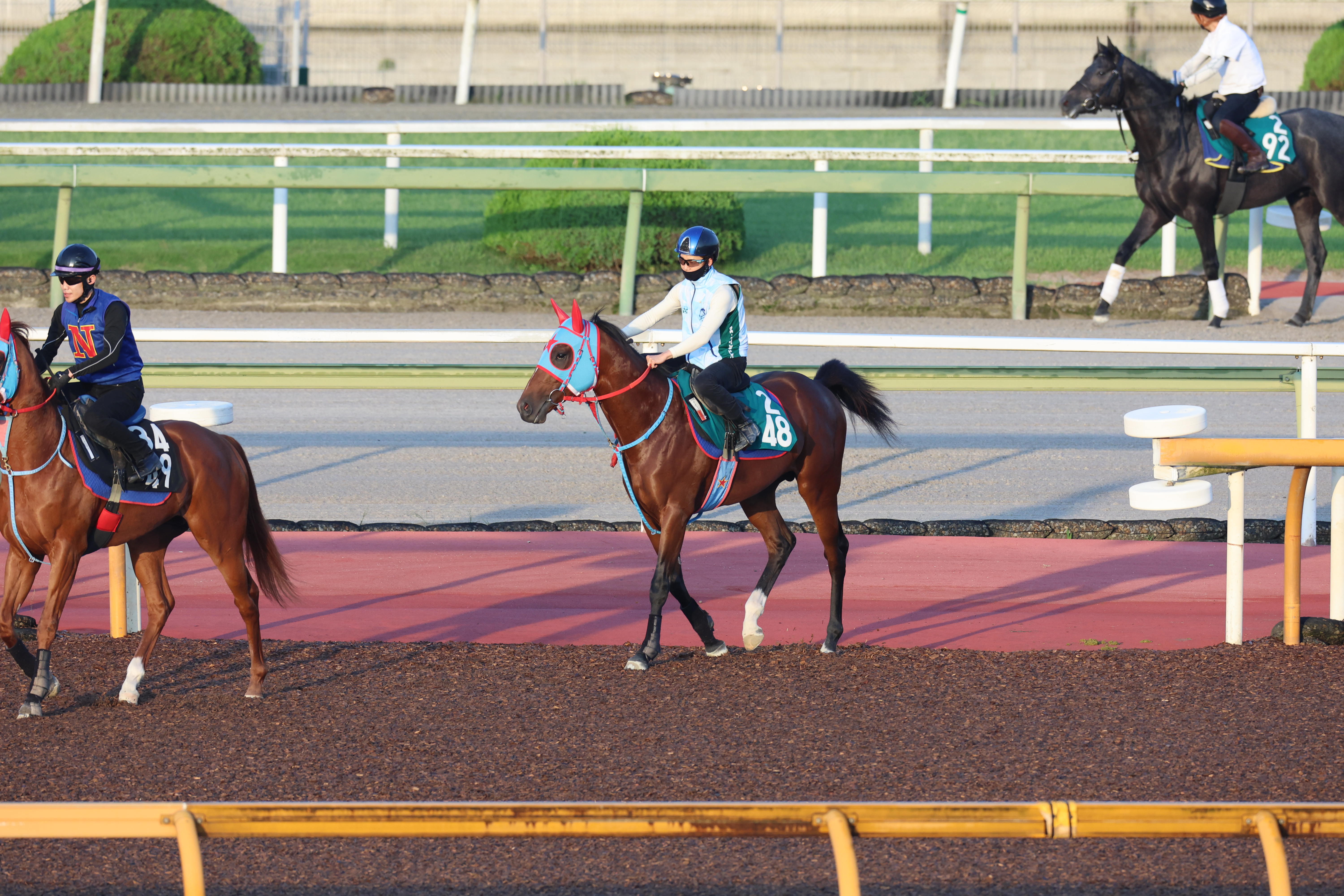 オホーツク、北斗　サボ IMG_6141-1024x576.jpeg