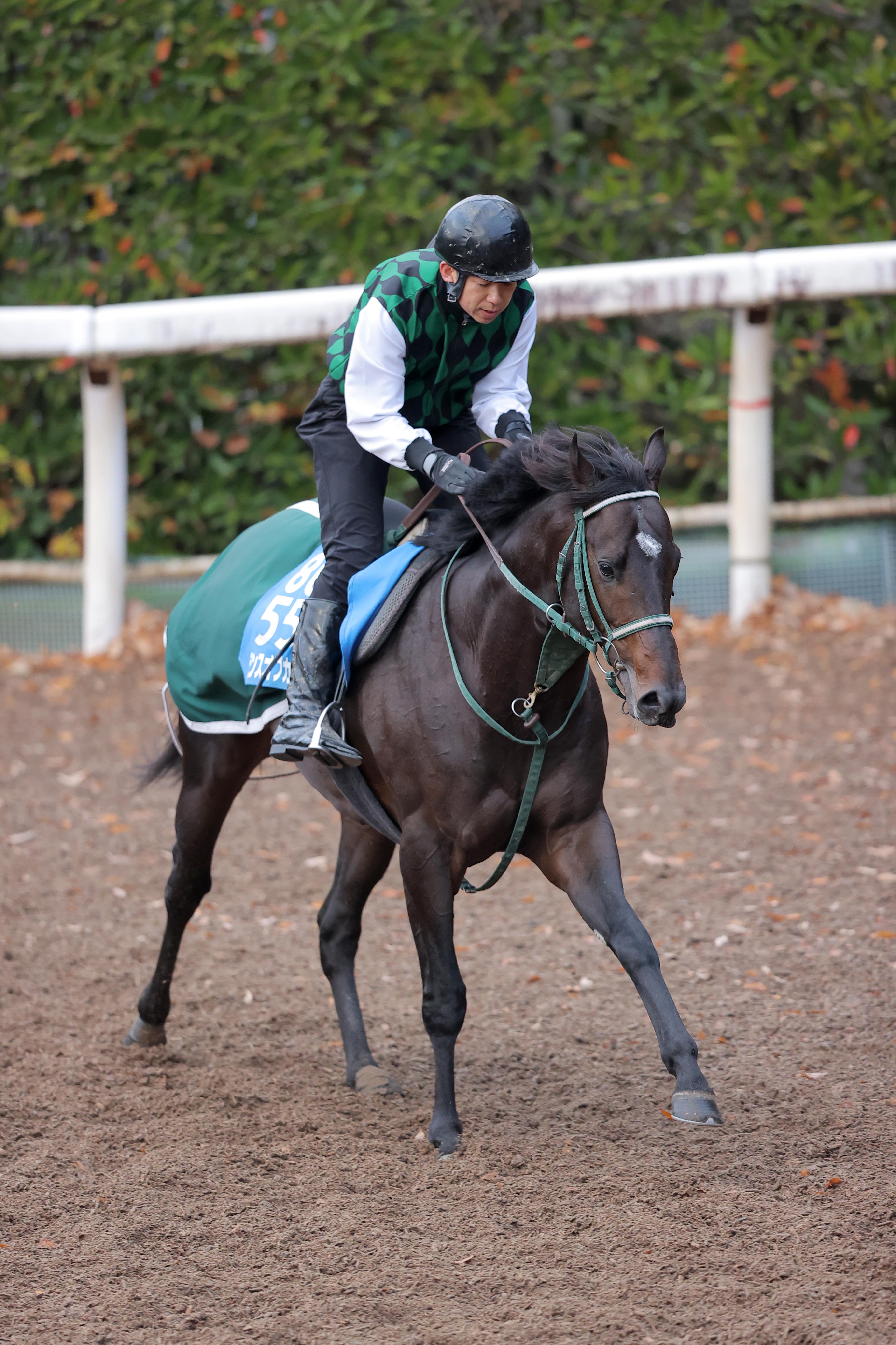 お取り置きブエナオンダ 2026年 京都金杯 京都金杯・コメントのツボ