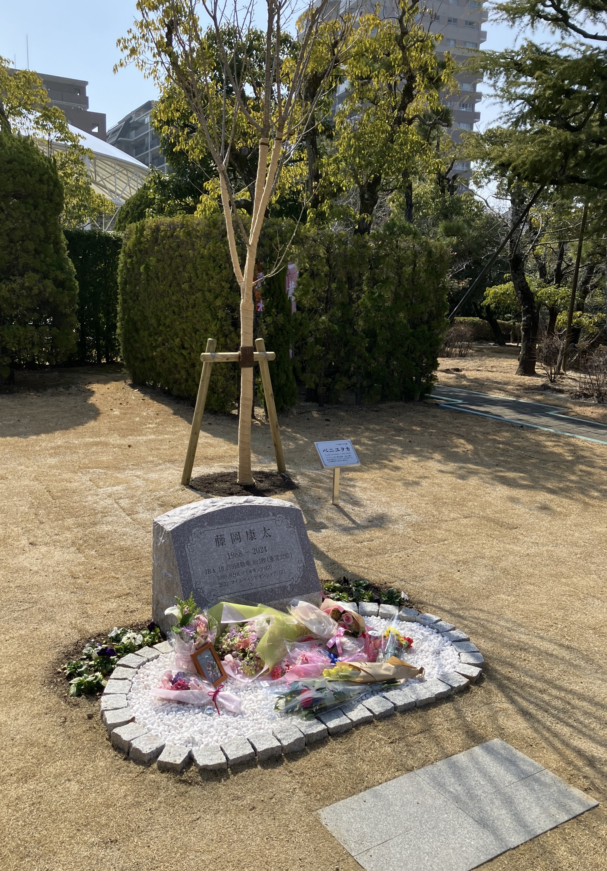 藤岡康太元騎手をしのぶ桜の木と石碑にファンが花束 - サンスポZBAT!