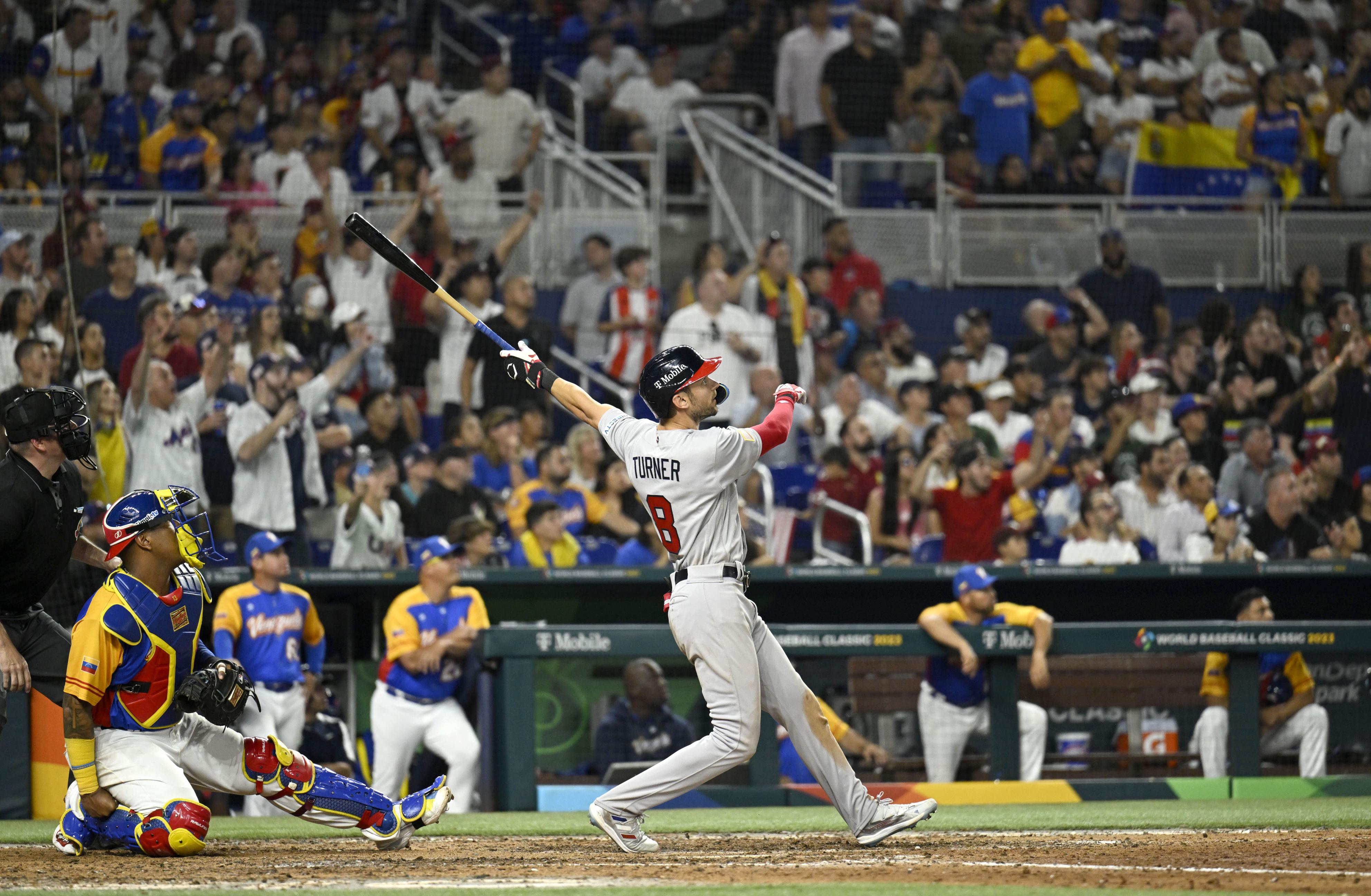 ダークブラウン 茶色 【即決‼️良席‼️】WBC2023 準決勝ラウンド