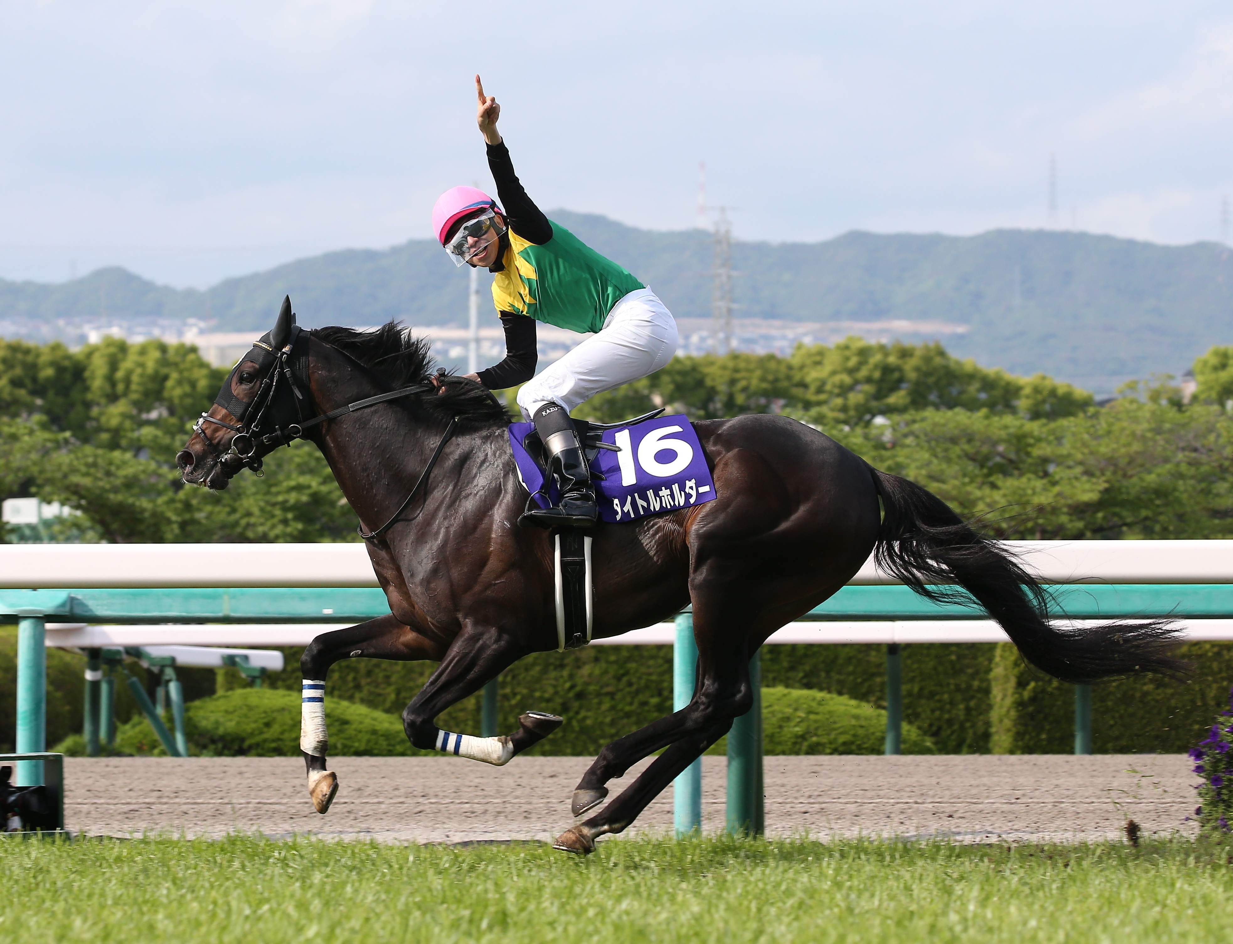 【ジャパンＣの注目点】タイトルホルダー＆ドウデュース復権