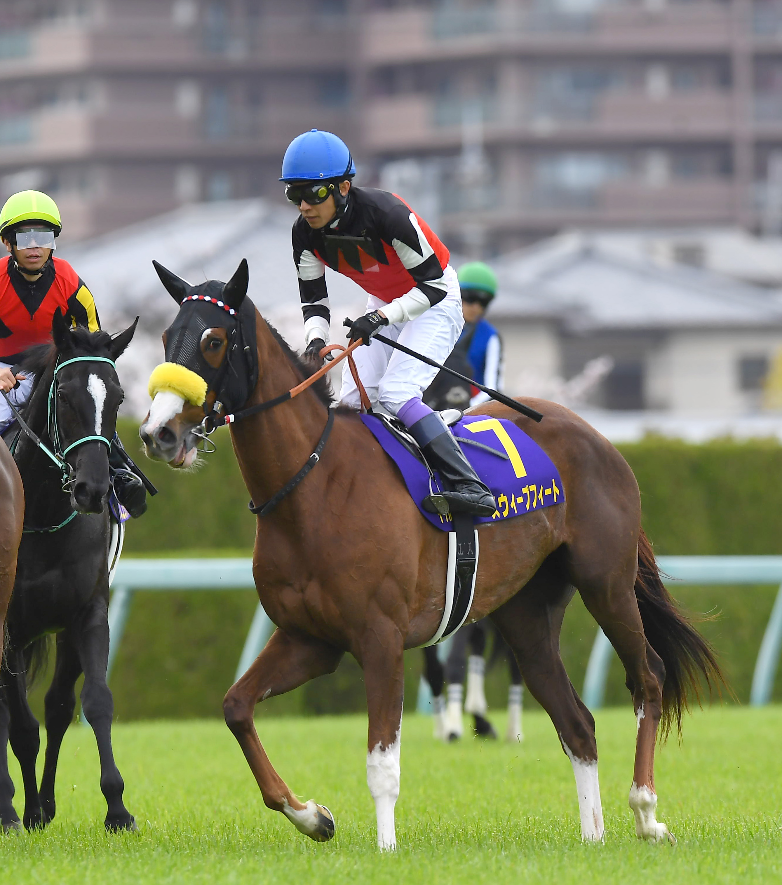 桜花賞】レースを終えて…関係者談話 - サンスポZBAT!