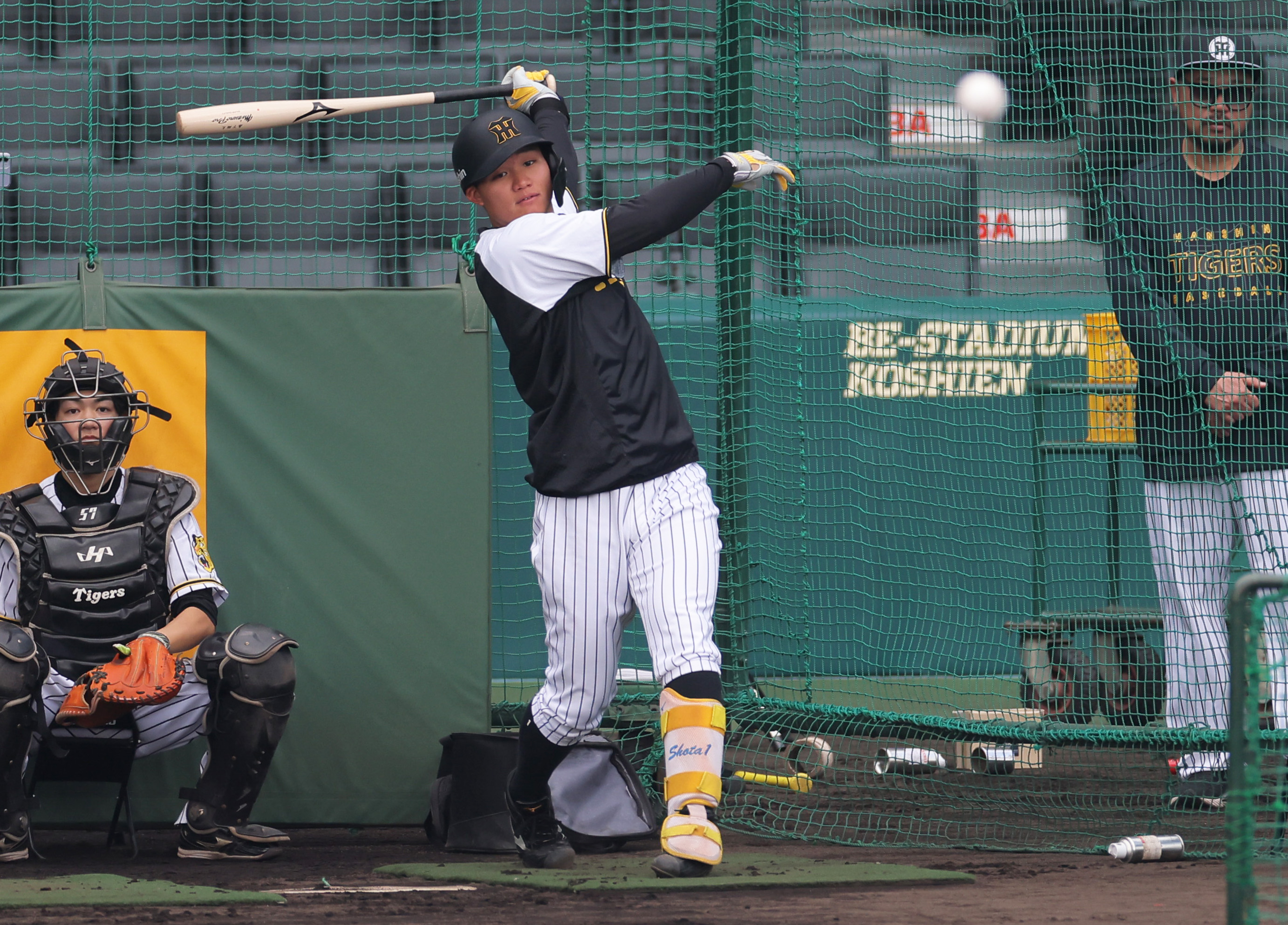 プロ野球で使用可となった「魚雷バット」 米大リーグで注目、1試合9