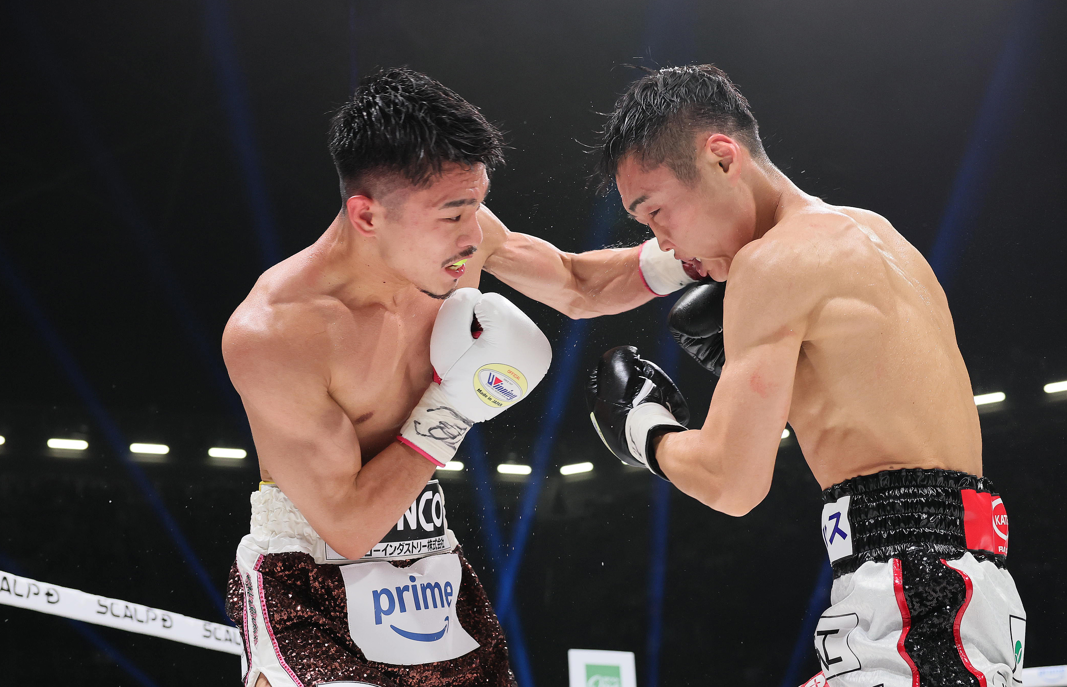 ボクシング】畑山隆則氏「まだやるんじゃないの？もったいないよ、ここ