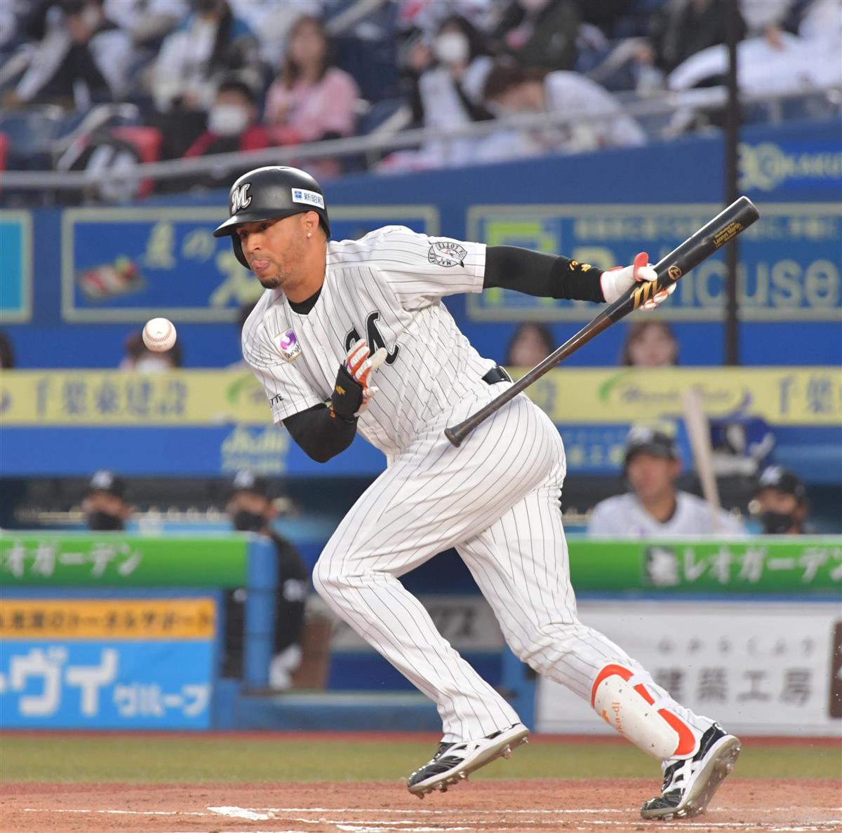 千葉ロッテマリーンズ 中村奨吾 NPB バット - バット