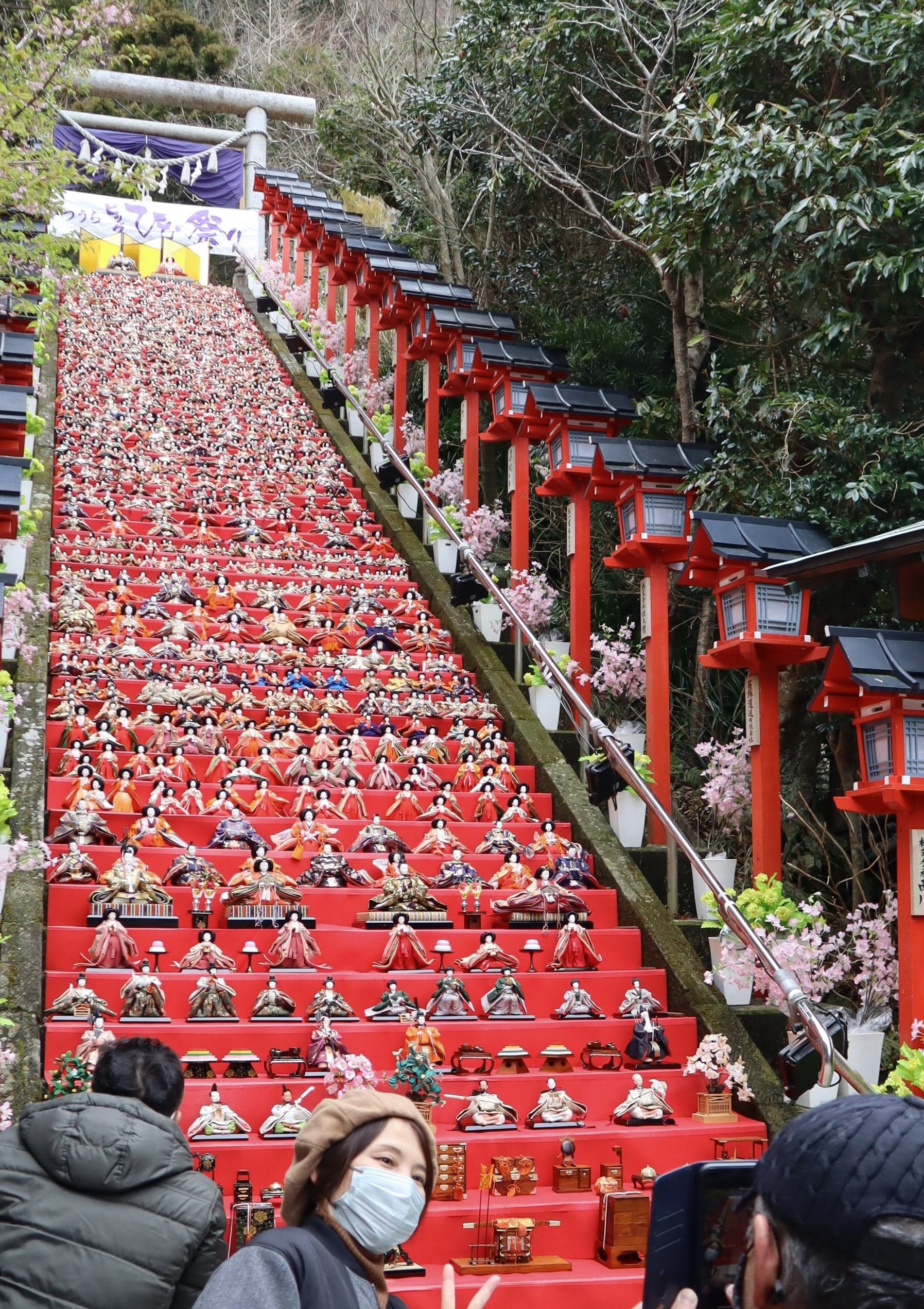 千葉・房総半島の神社を観光資源に 地域活性で勝浦市観光協会が検討