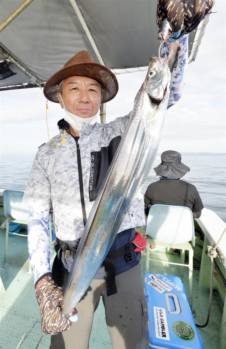 タチウオ来た 明石海峡に群れ 竿頭３０匹超でクーラー満タン 関西フィッシング 1 3ページ サンスポ