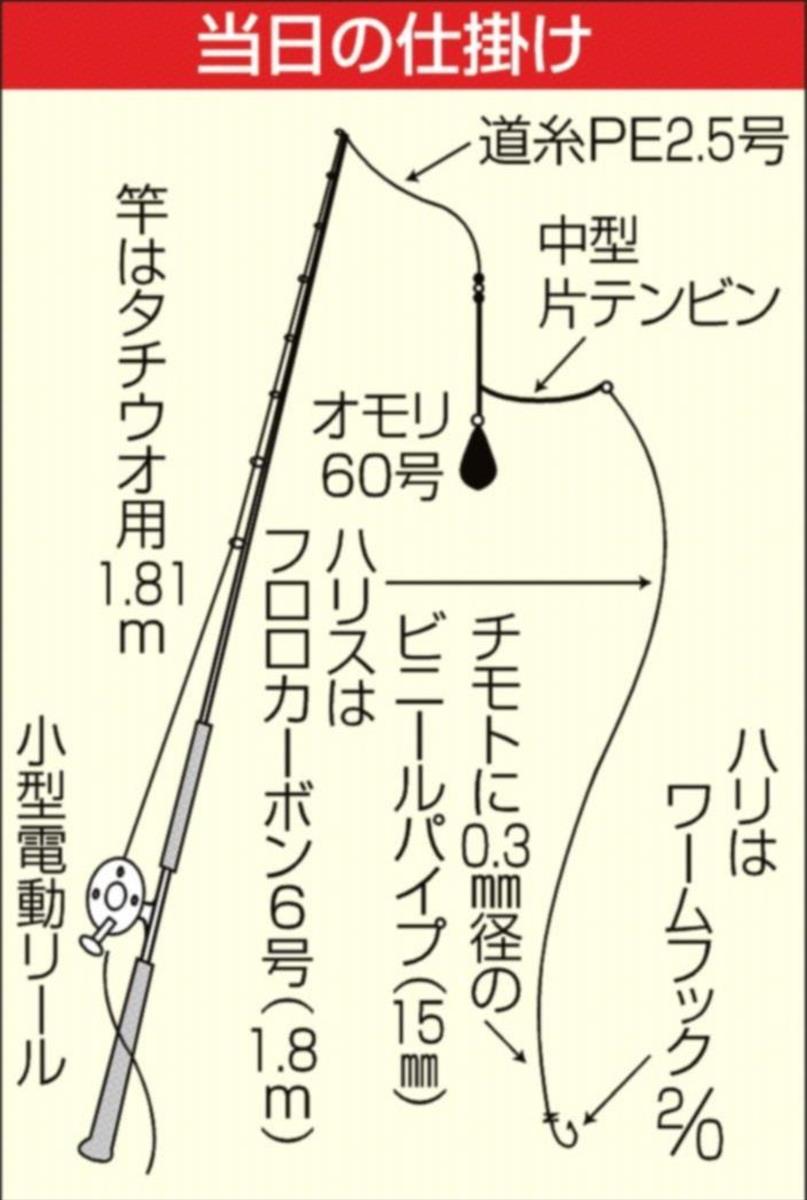 女子のミカタ タチウオ狩り テンビンで 置き竿で１２０センチキター 1 2ページ サンスポ