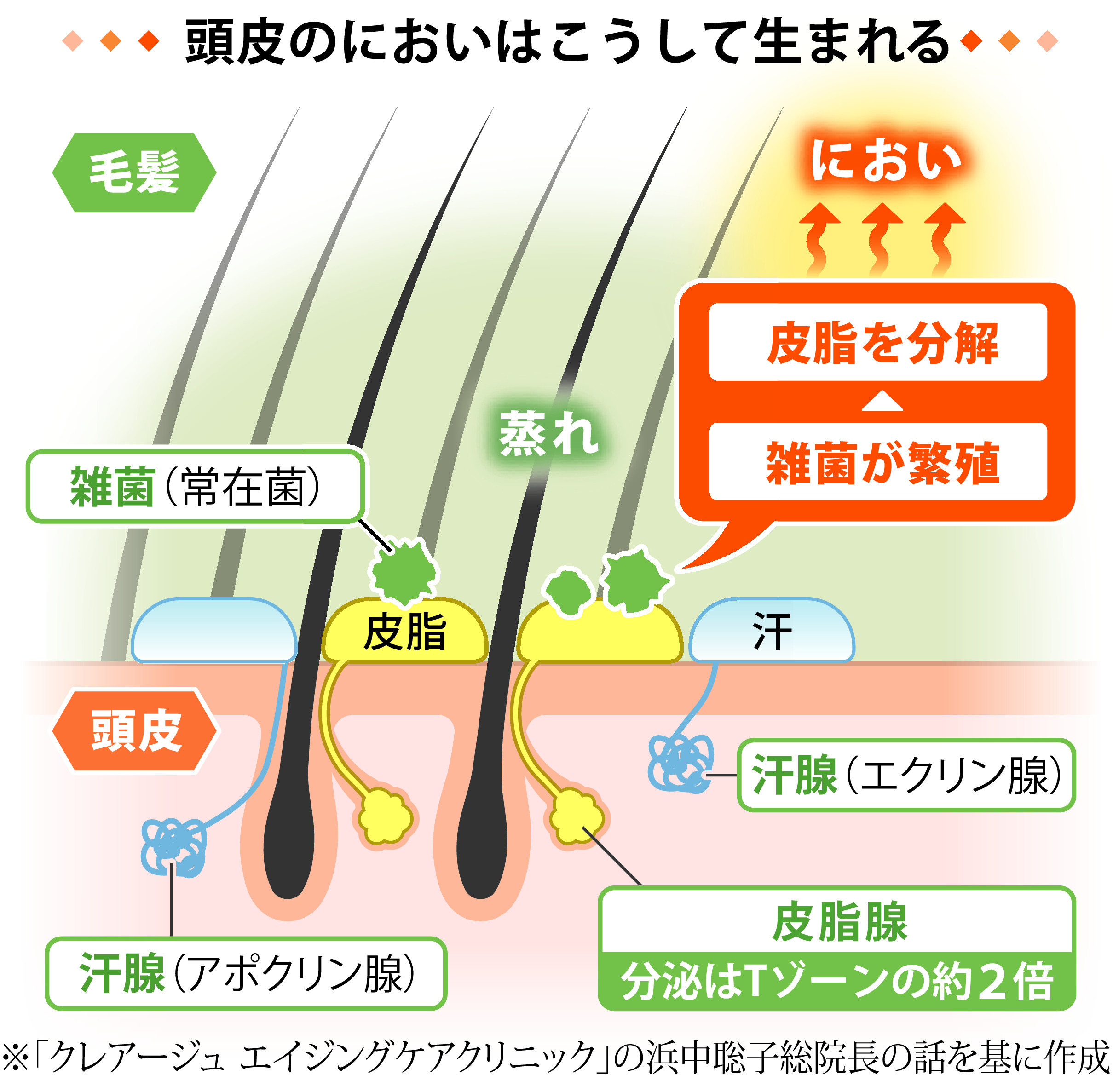 頭皮 から の 汗