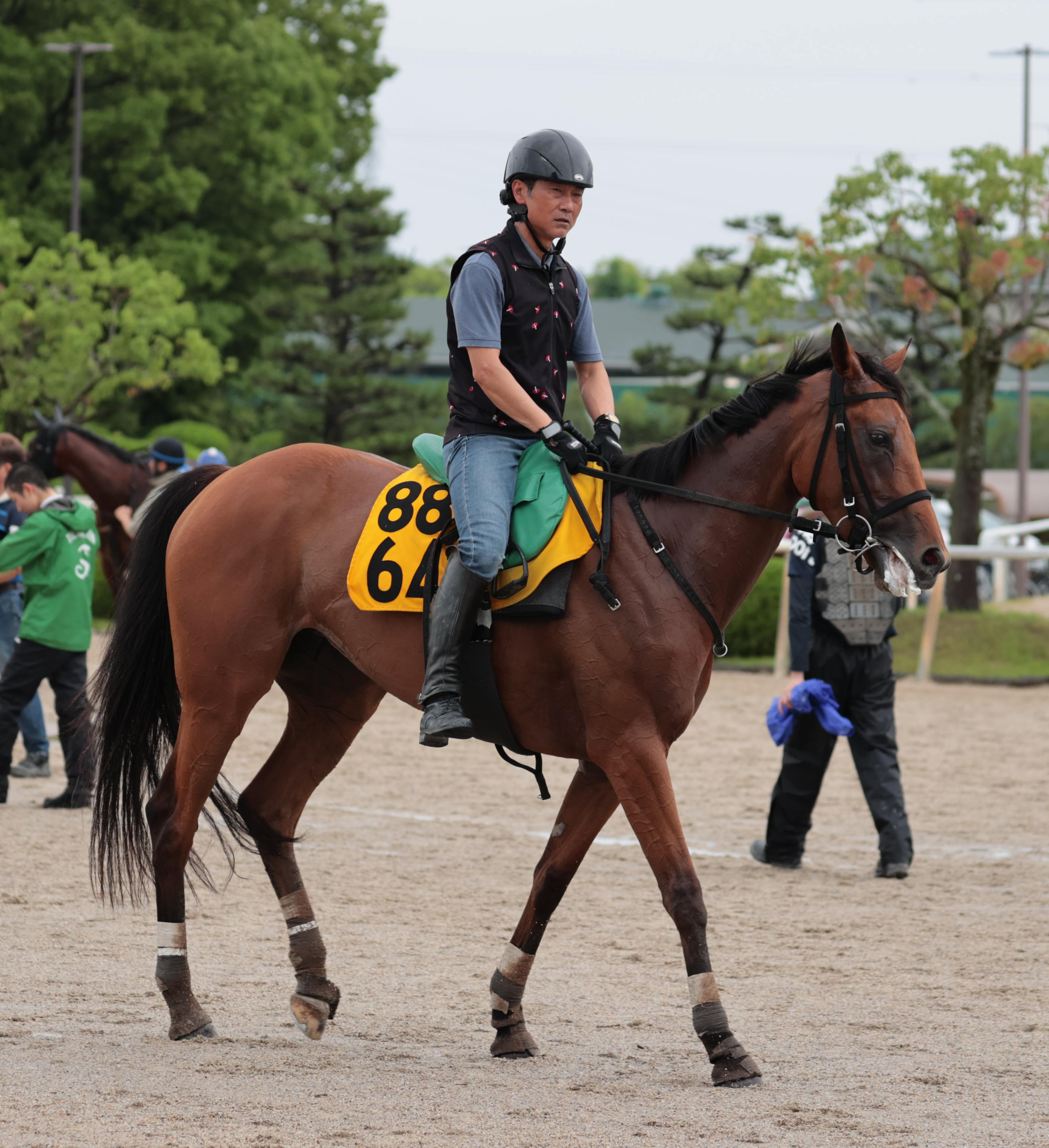 府中牝馬S】1週前 関係者談話 - サンスポZBAT!