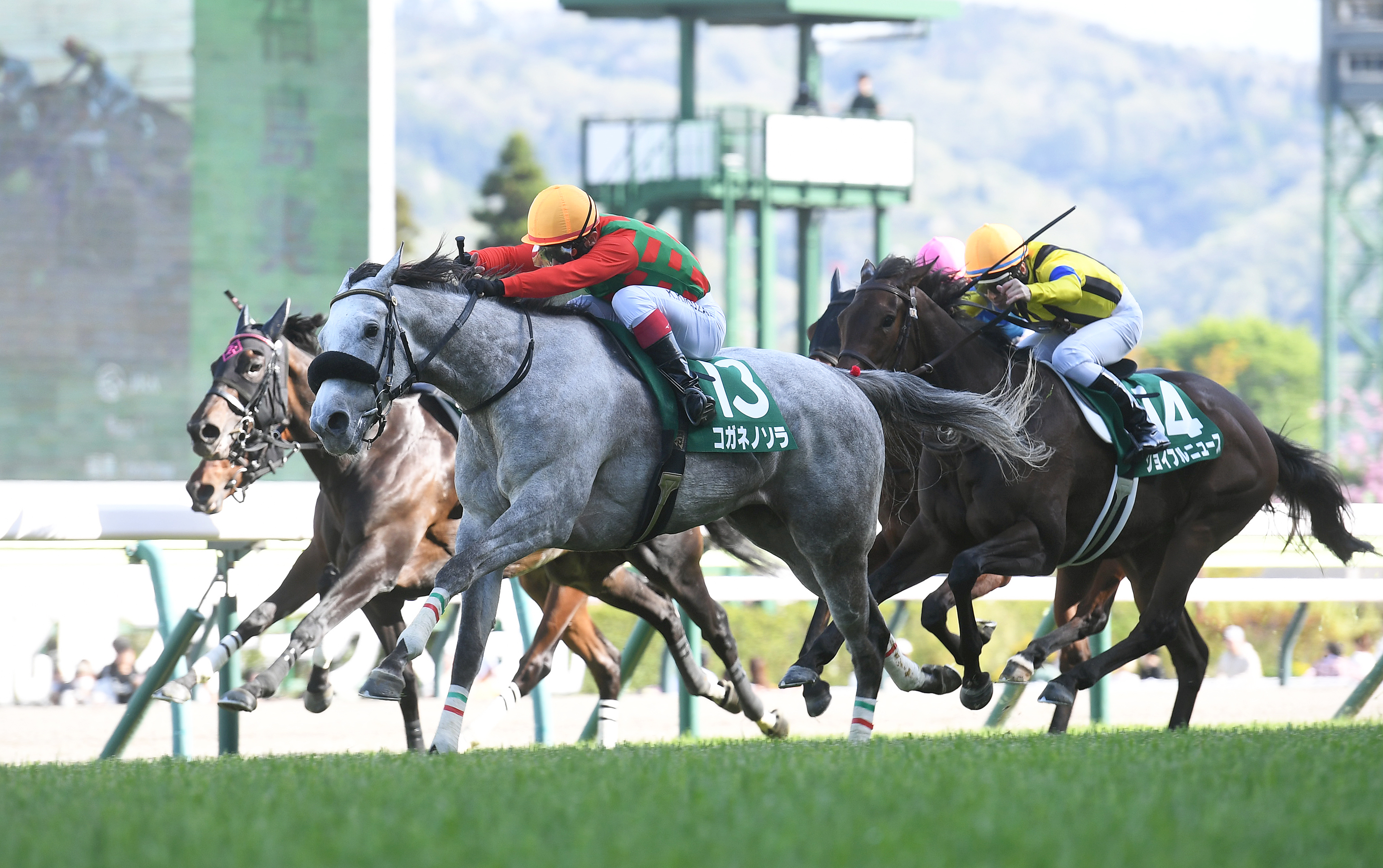府中牝馬S】コガネノソラ、ニシノティアモなど19頭が登録 - サンスポZBAT!