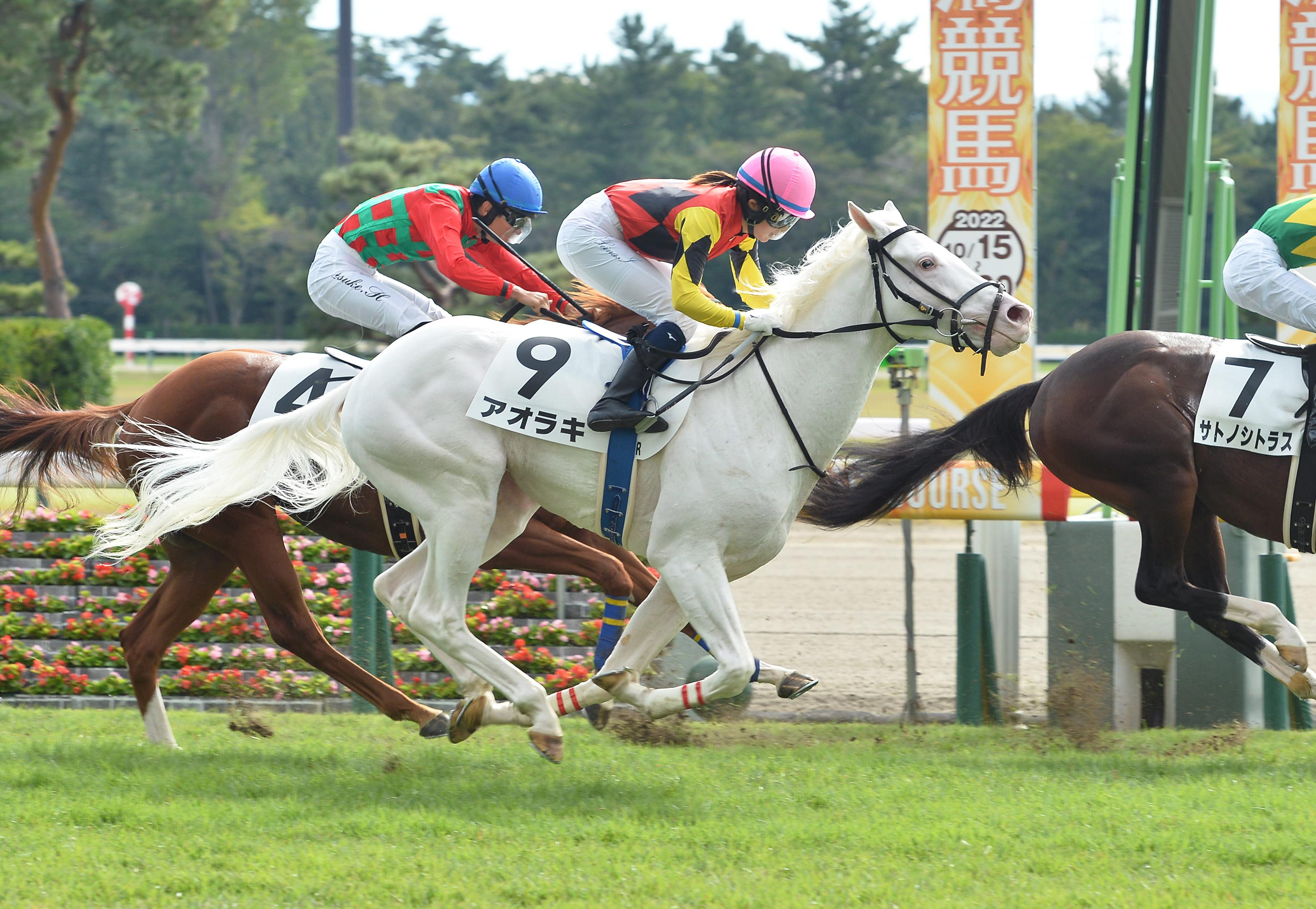 白毛のアオラキは4着 今村聖奈騎手「エンジンのかかったところではじ