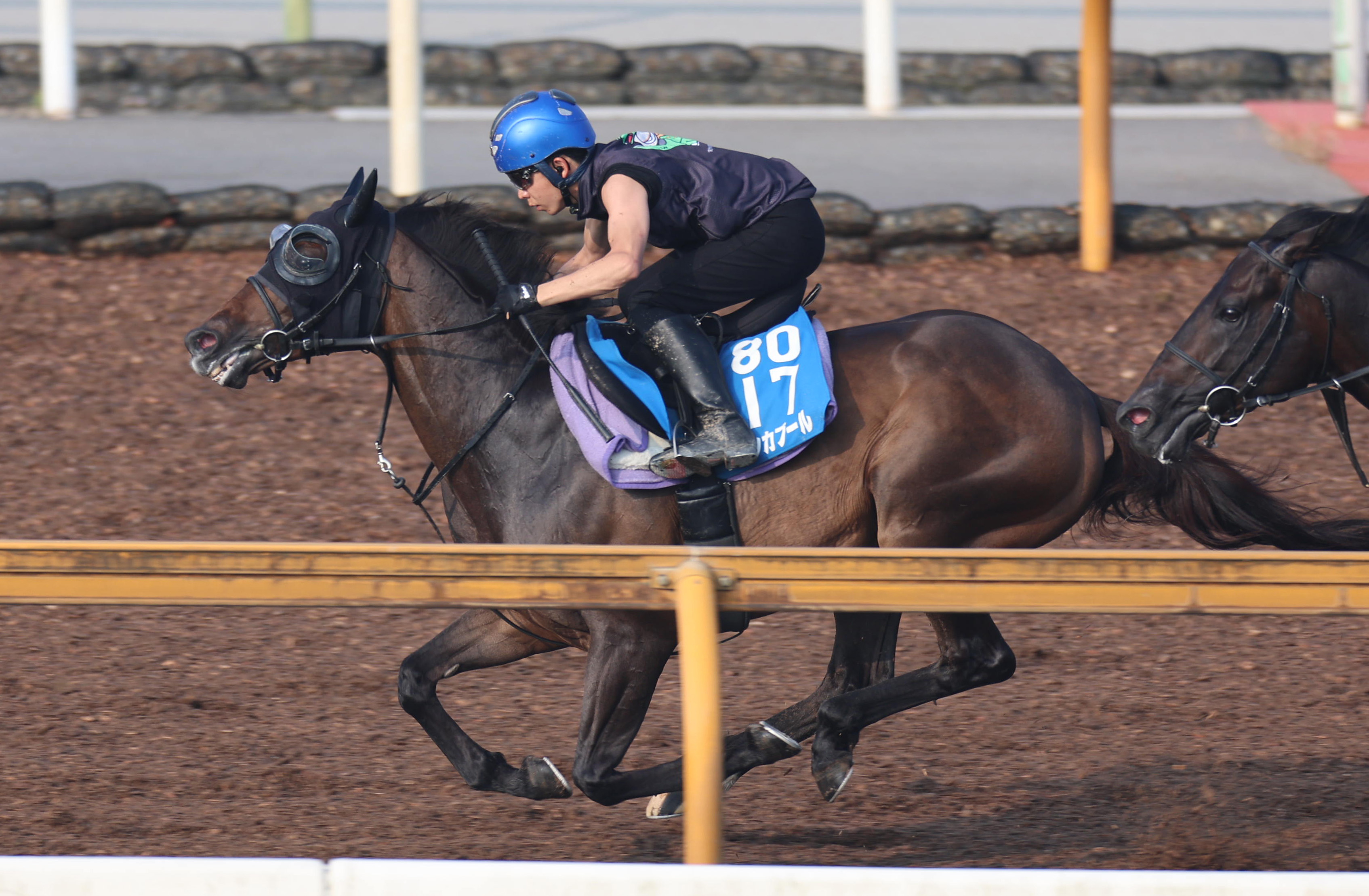 小倉記念 1週前追い切り】リカンカブールは併せ馬で迫力満点に1
