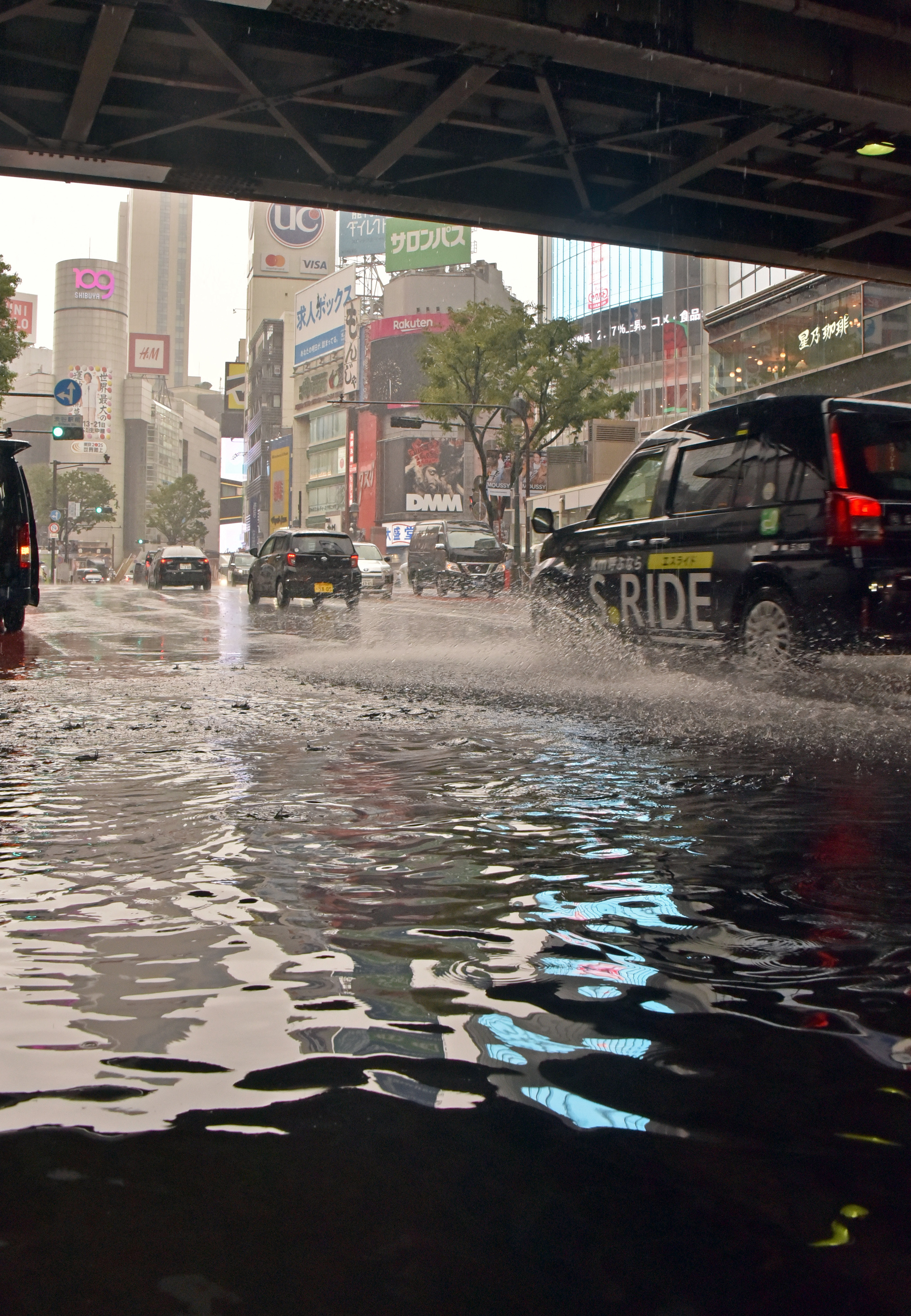 動画】落雷で火災も、東京で記録的短時間大雨情報 世田谷で観測史上
