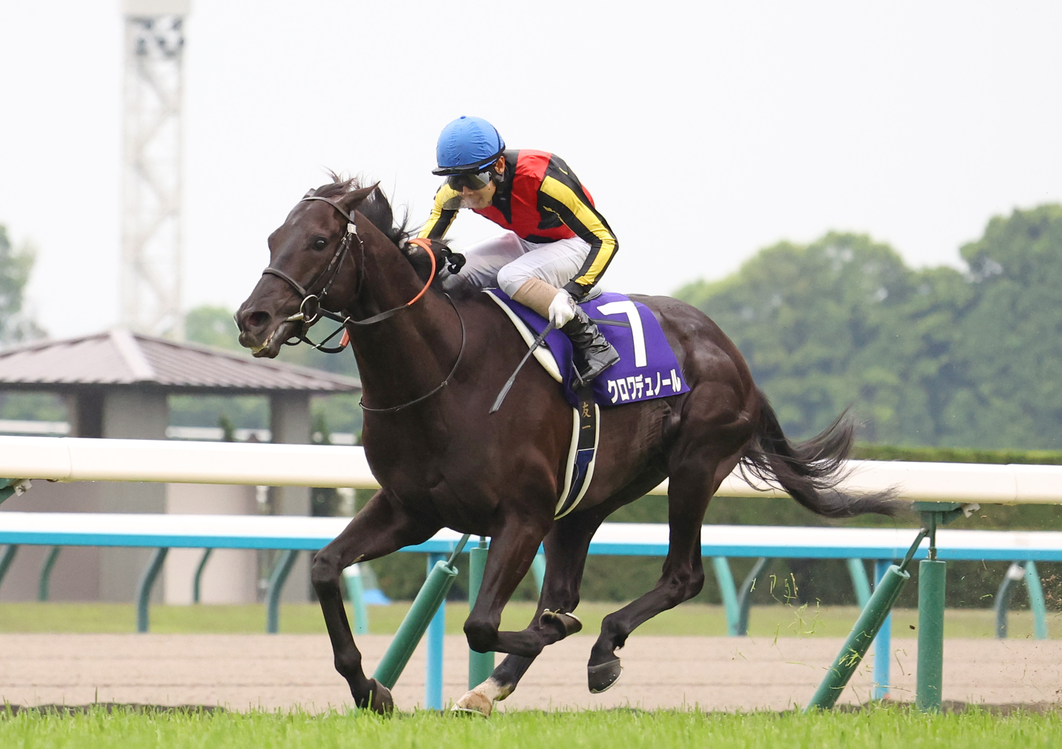 天皇賞・春でGⅠ4勝目のクロワデュノールは放牧へ 斉藤崇師「脚元も