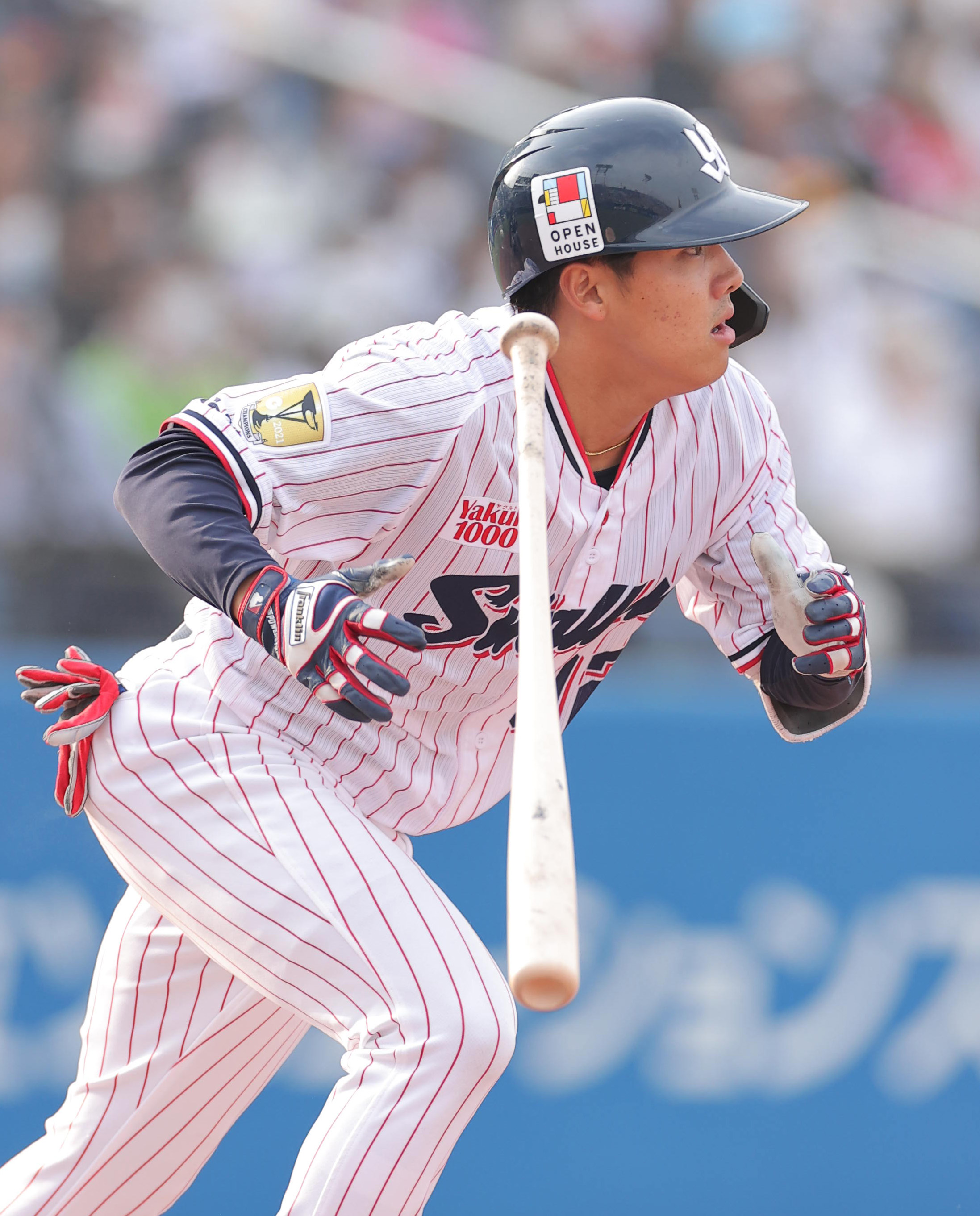 燕番コラム】ヤクルト・赤羽由紘の見据える理想像とは？ 支配下登録