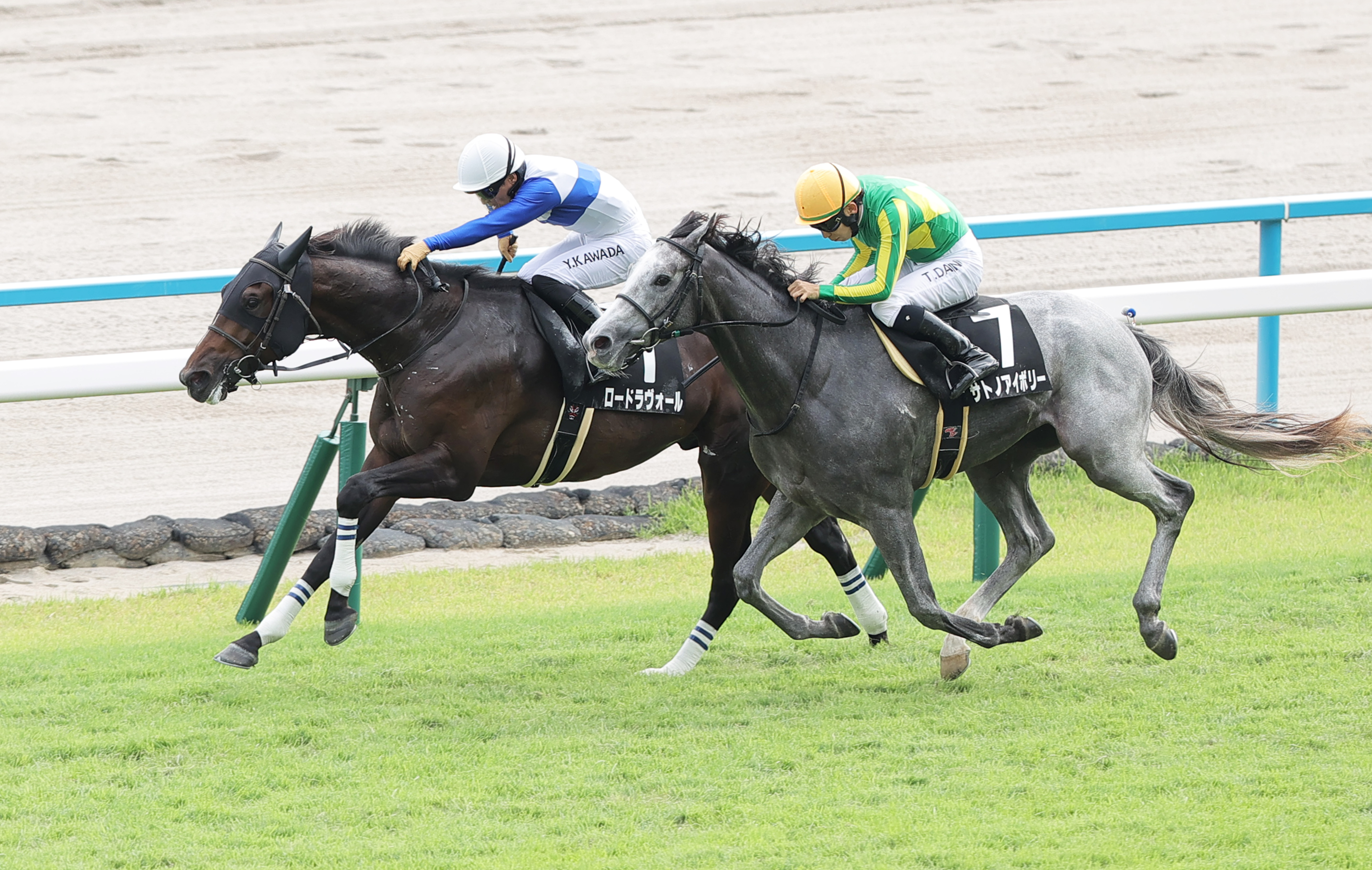 紫菊賞】ロードラヴォールが直線の一騎打ち制し無傷2連勝 - サンスポZBAT!