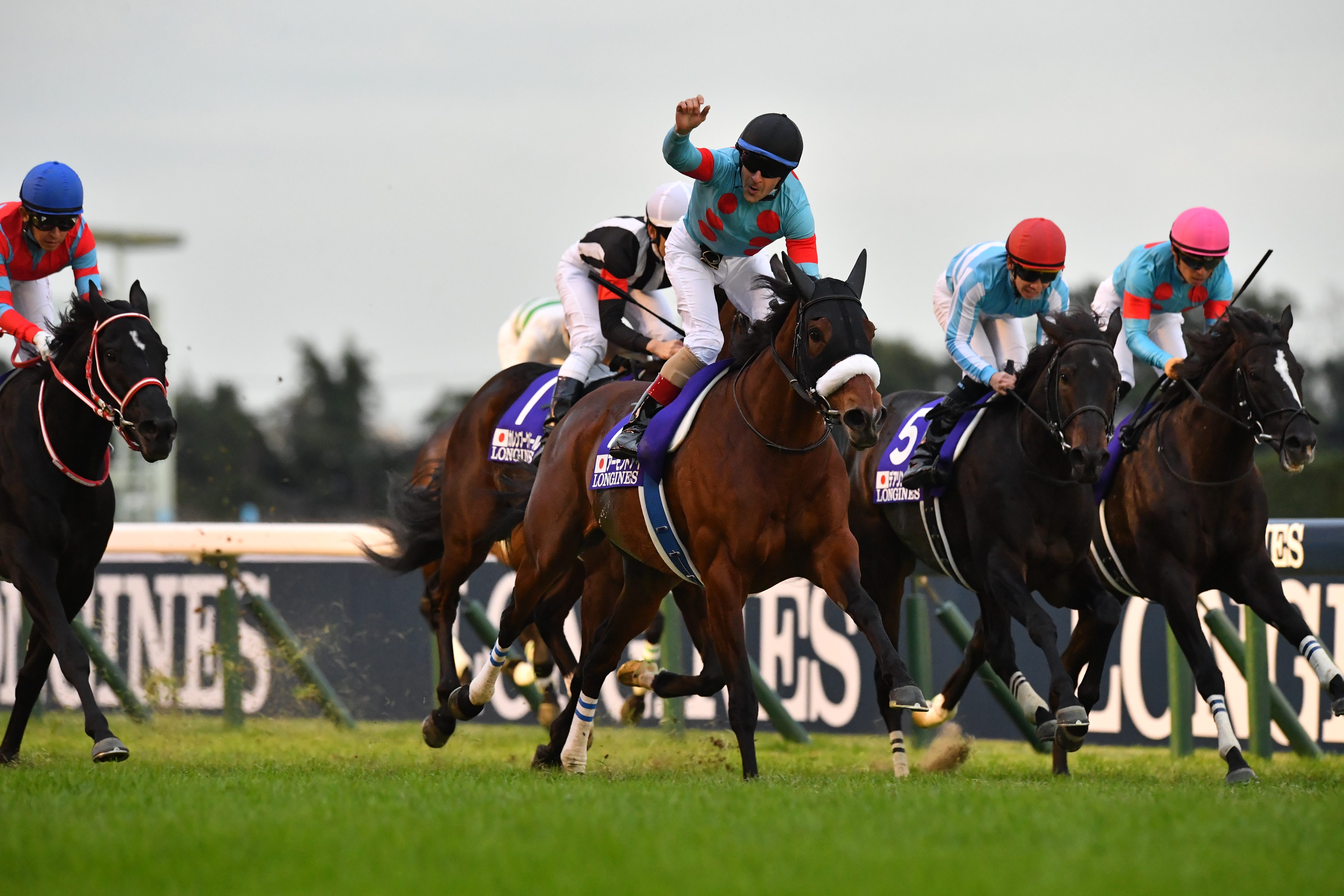 芝GⅠ9勝の名牝アーモンドアイが殿堂入り 昨年は8票足らずに涙…今年