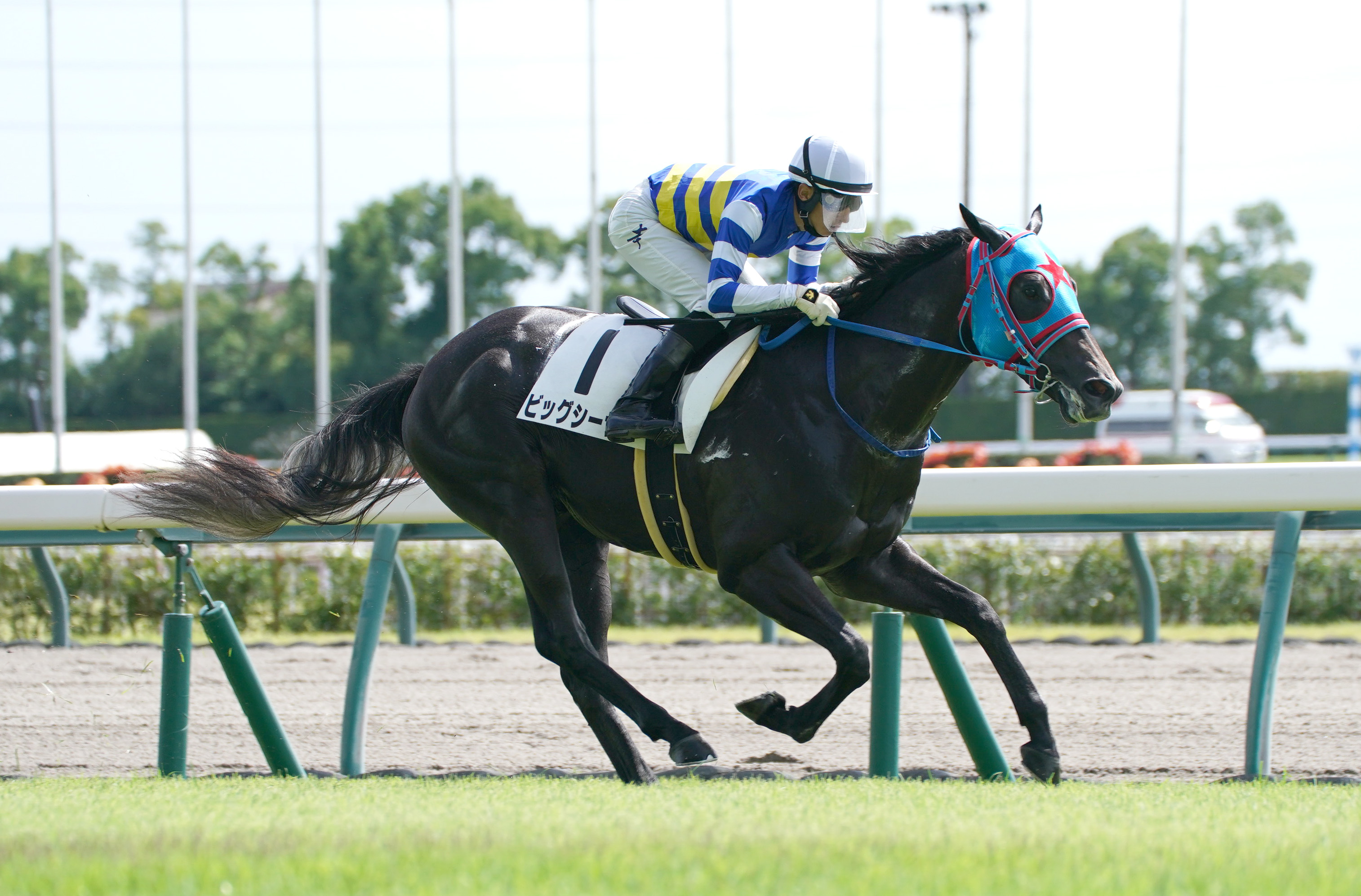 中京３Ｒ・２歳未勝利】ビッグシーザーが２歳コースレコードを更新