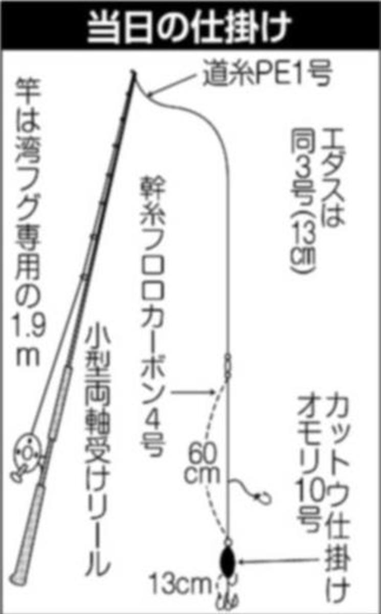 涼しくなると恋しくなる湾フグ 数釣りシーズン間近 1 2ページ サンスポ