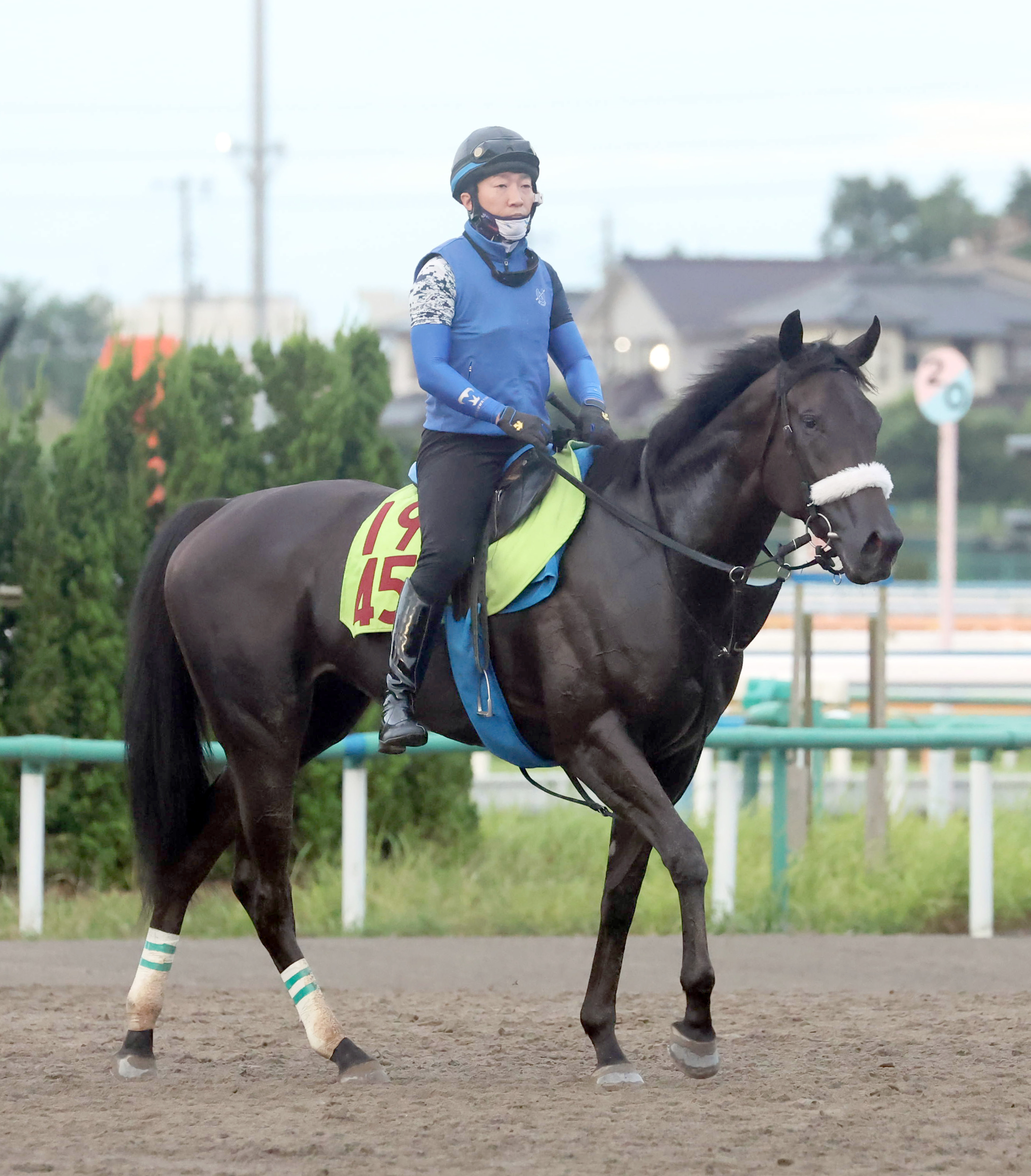 今日の注目新馬】祖母が英オークス馬のジャストマイウェイ 国枝師「馬