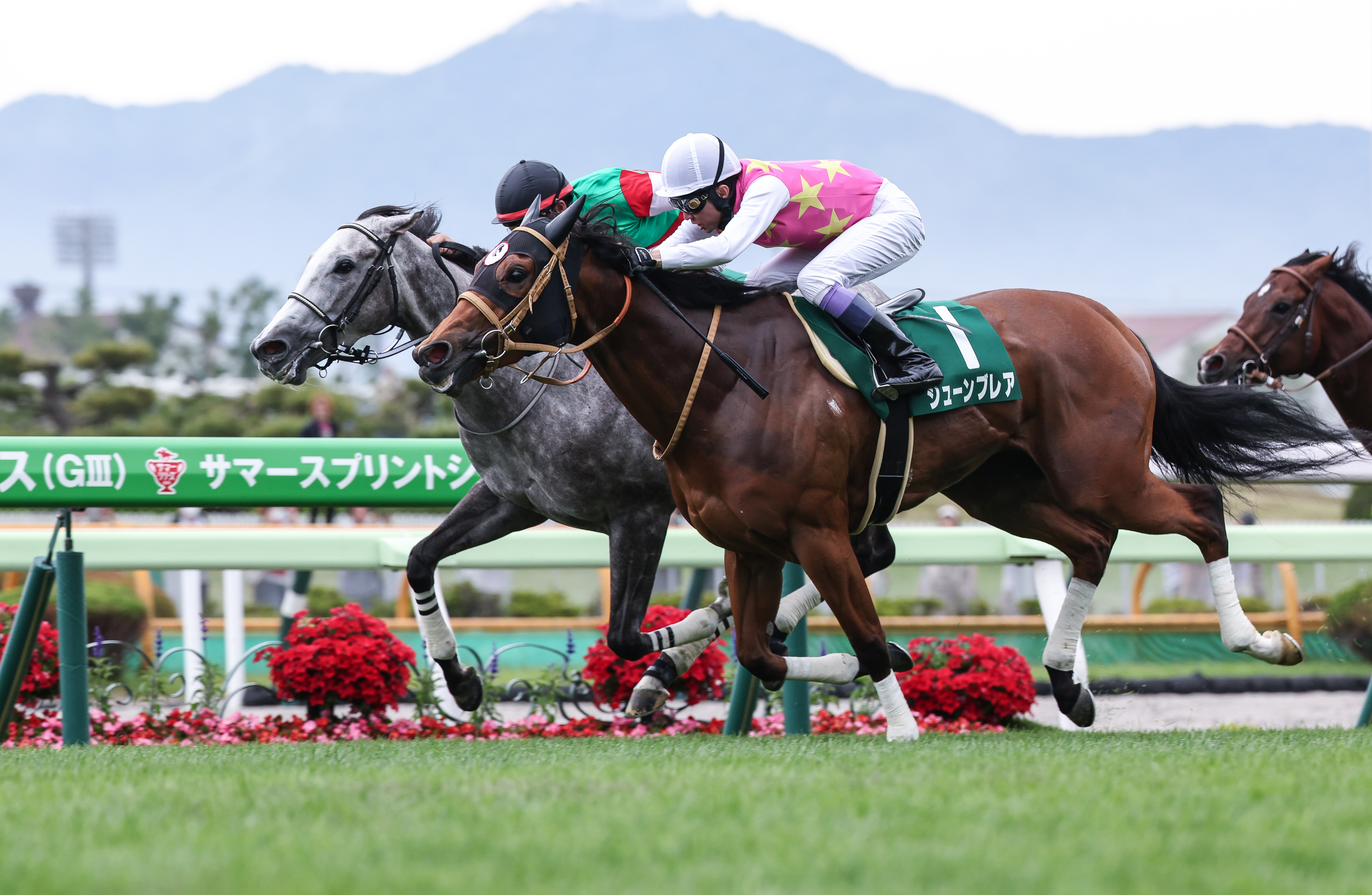 【当選品】函館競馬場　函館2歳S　レプリカゼッケン　ラインパシオン　大江原比呂 函館2歳S 調教スタンドから】エスカレイト悪路で目立つ動き
