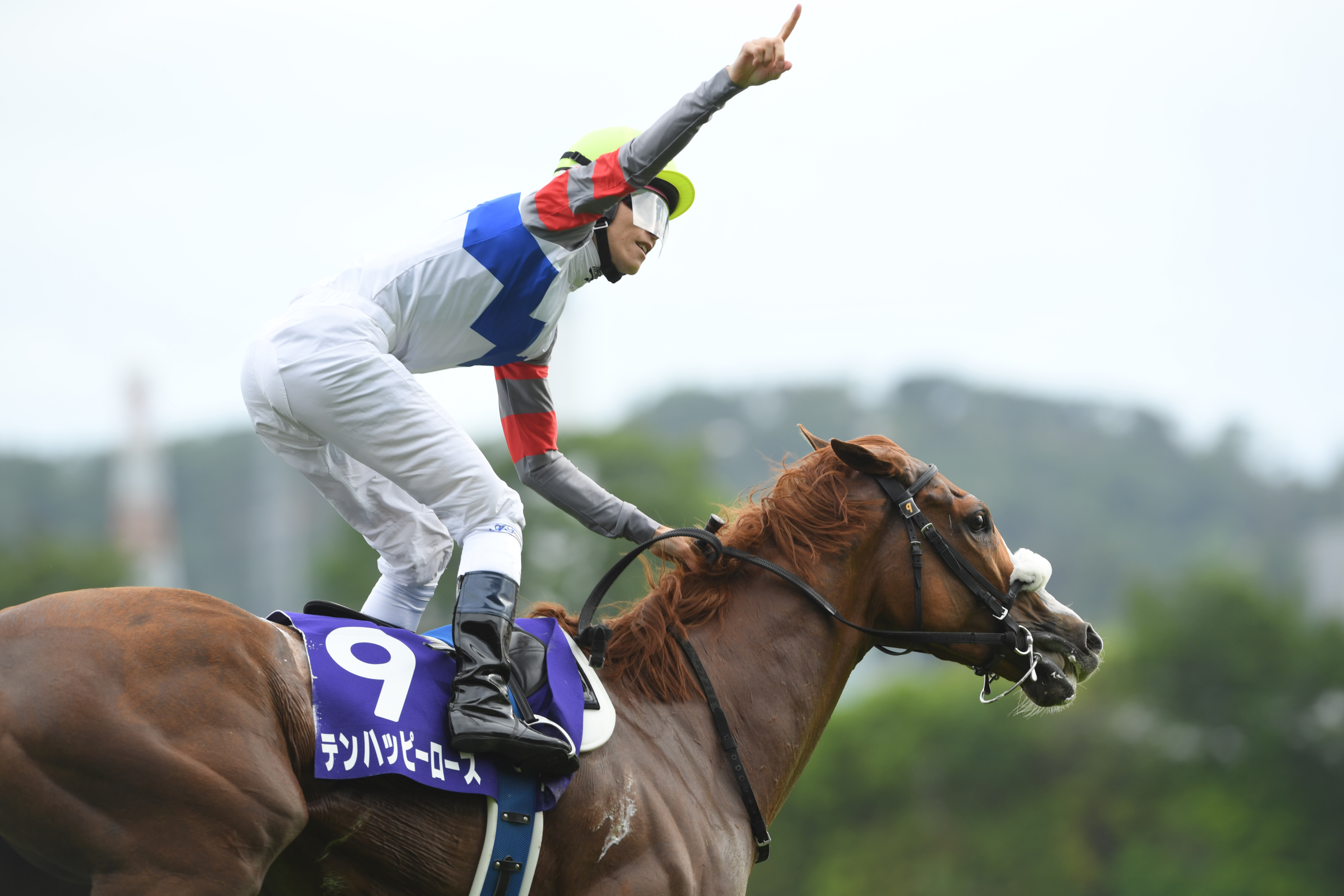 ヴィクトリアM】津村明秀騎手が男泣き 14番人気テンハッピーローズ ヴィクトリアM】津村明秀騎手が男泣き 14番人気テンハッピーローズ