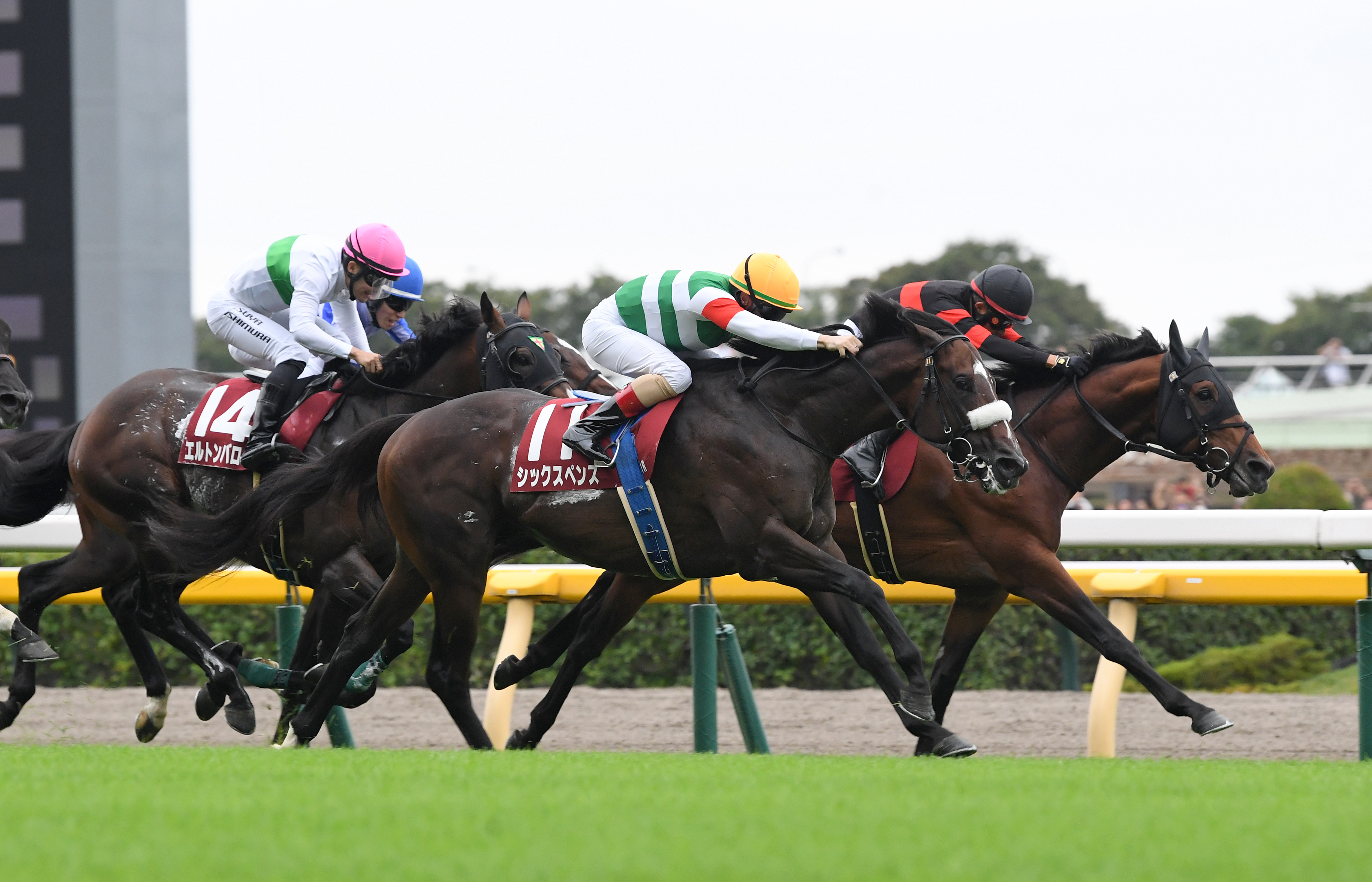 毎日王冠】シックスペンスが人気に応えて重賞2勝目 3歳世代のキングへ