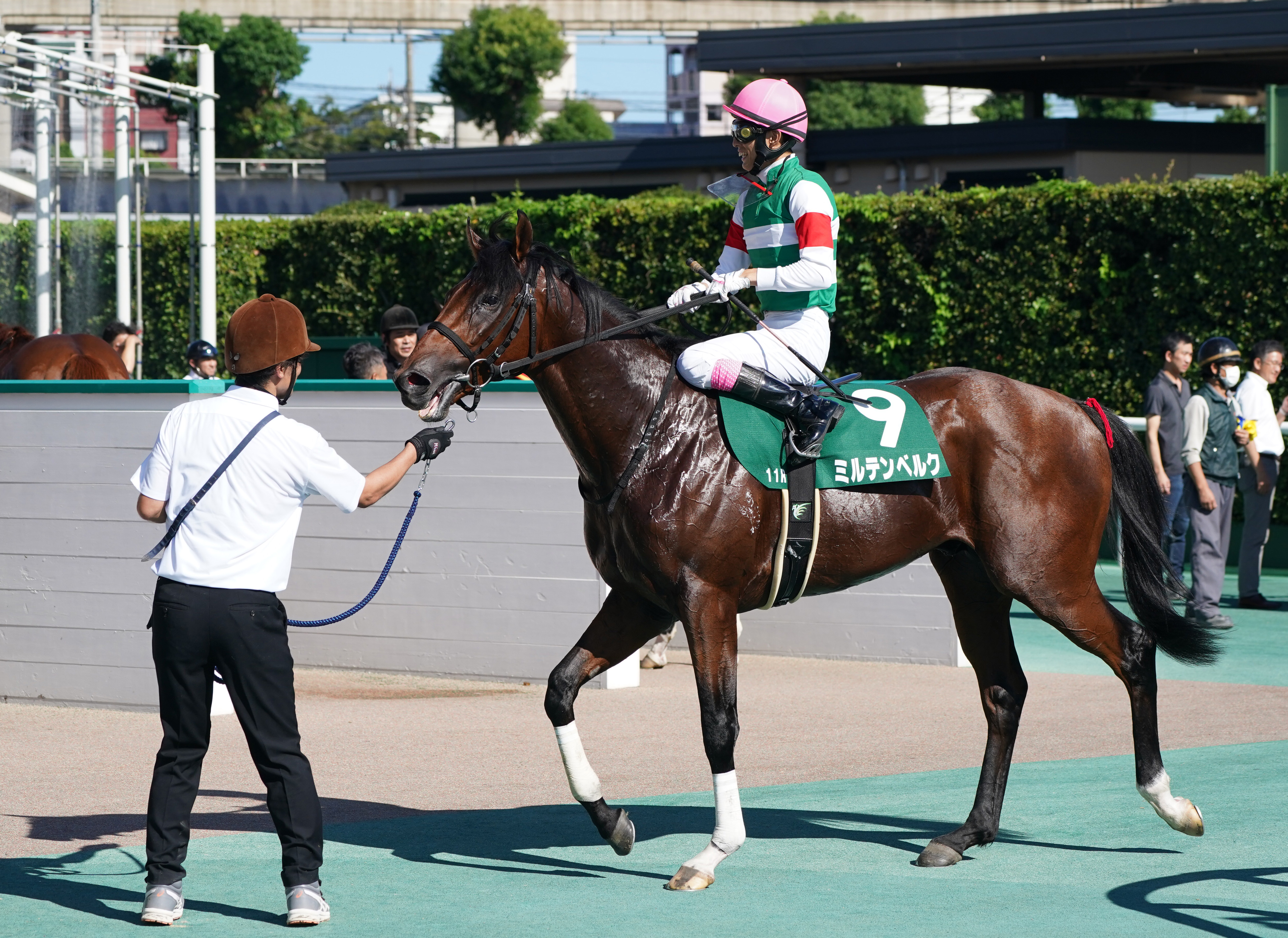 【小倉２歳Ｓ】ミルテンベルクが悔しいアタマ差２着 藤岡康太騎手 ...