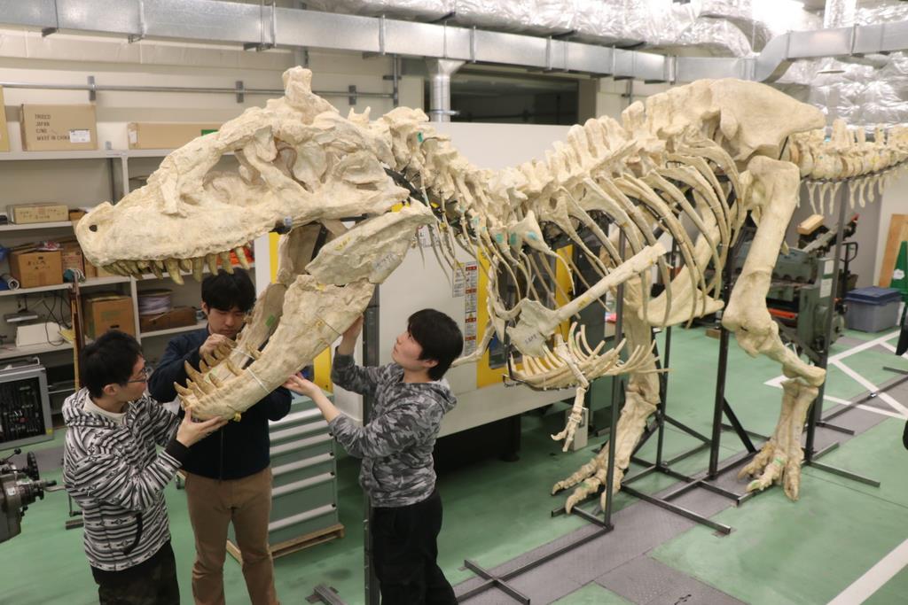 アジア最大級の肉食恐竜「タルボサウルス」全身骨格披露 岡山理大生が