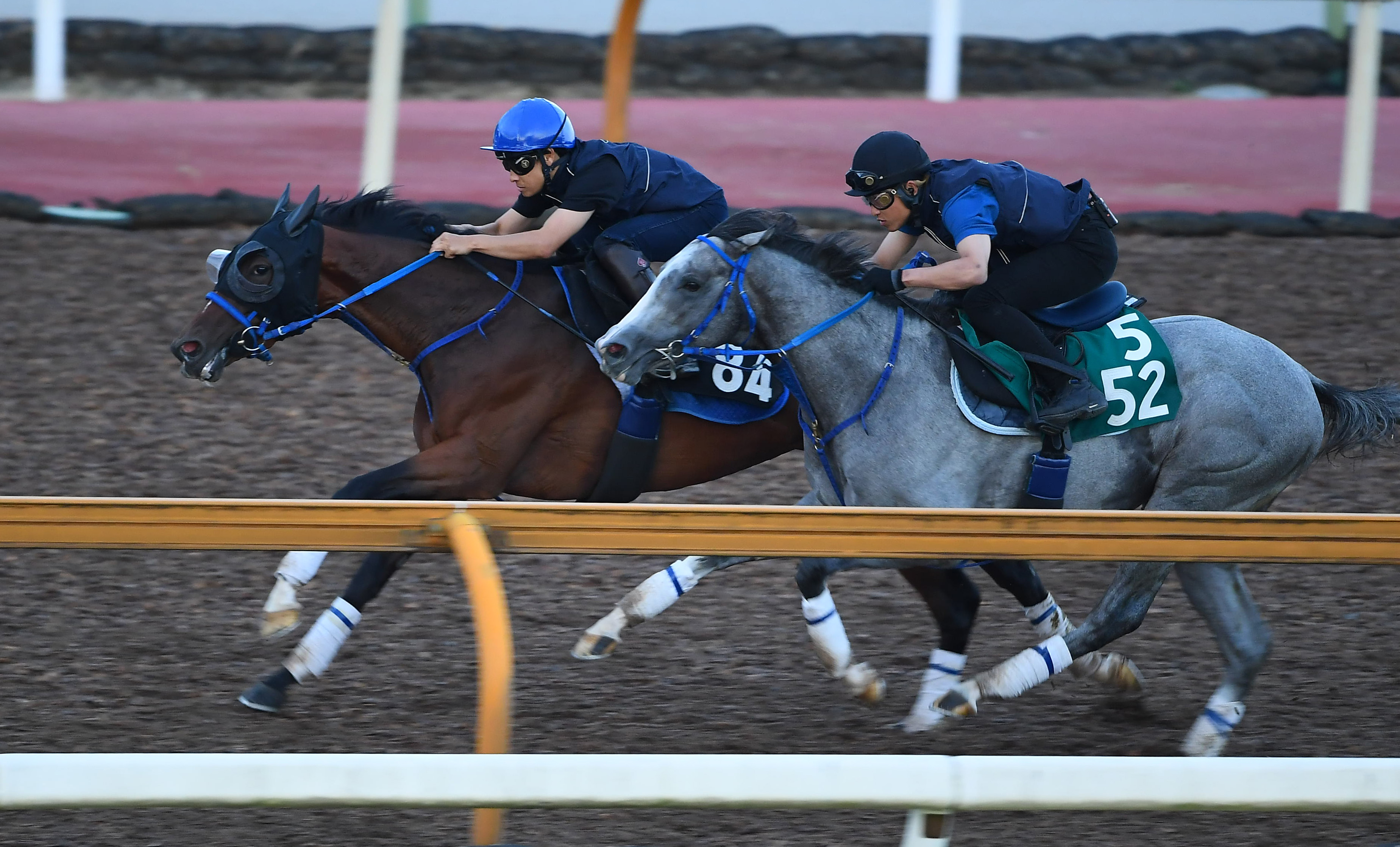 【ローズＳ】アンリーロードは芝千八で２戦２勝 未勝利戦勝ちの ...