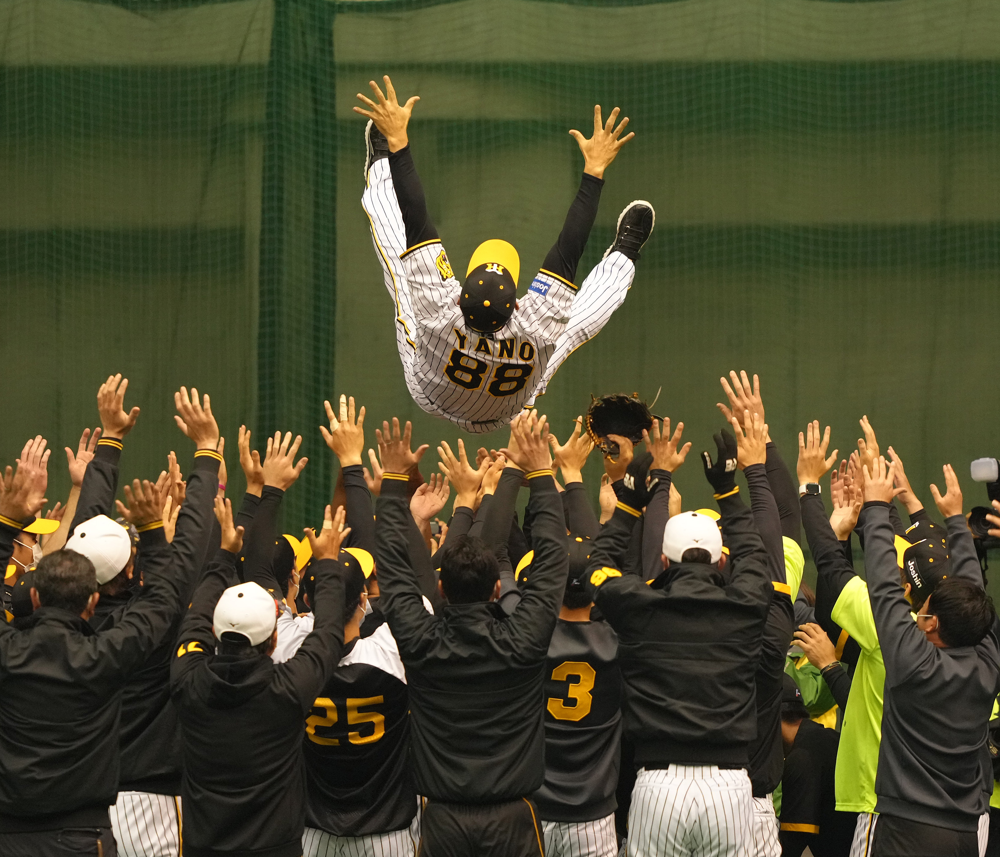 フォト特集】阪神、矢野監督を胴上げ 優勝前祝い - 産経ニュース